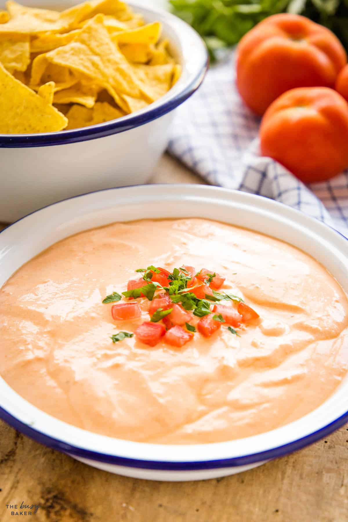 queso dip in a white bowl with chopped tomatoes and cilantro