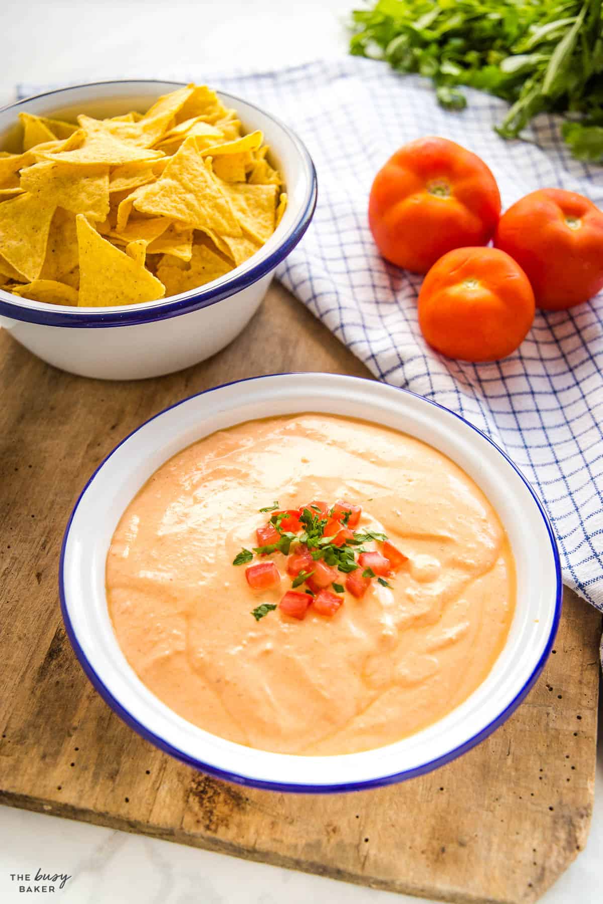 tex mex appetizer recipe