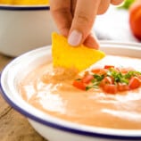 Cottage Cheese Queso Dip - The Busy Baker