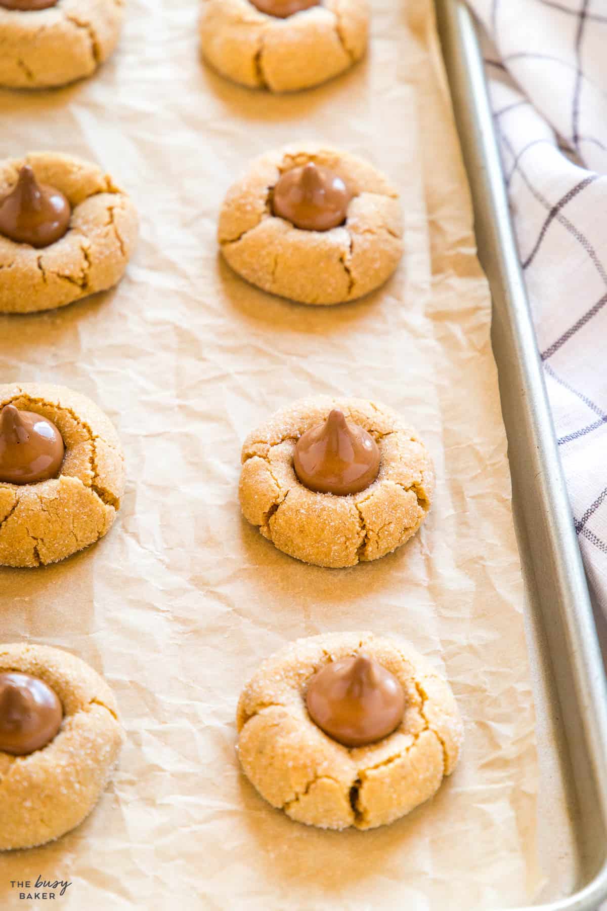 peanut butter blossom cookies on a baking sheet
