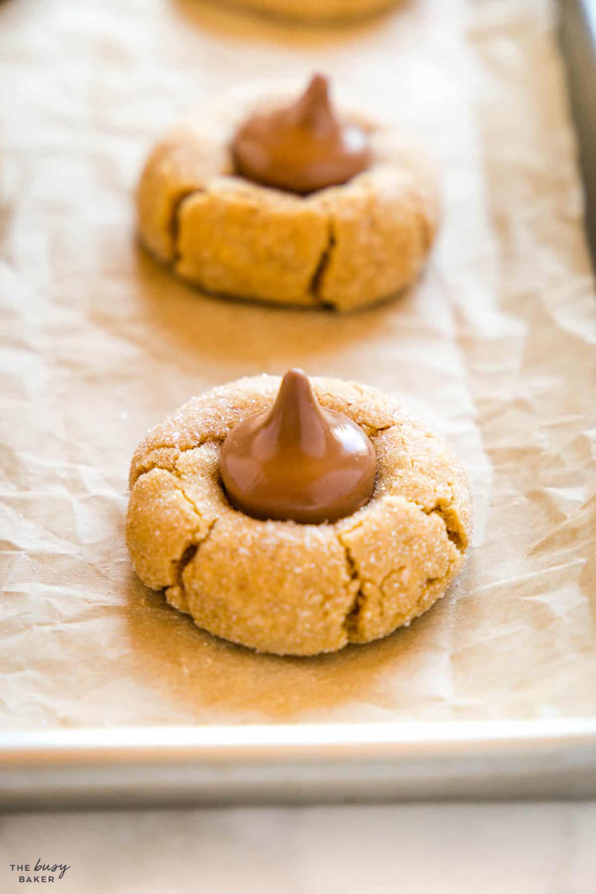 closeup image: peanut butter blossom cookie