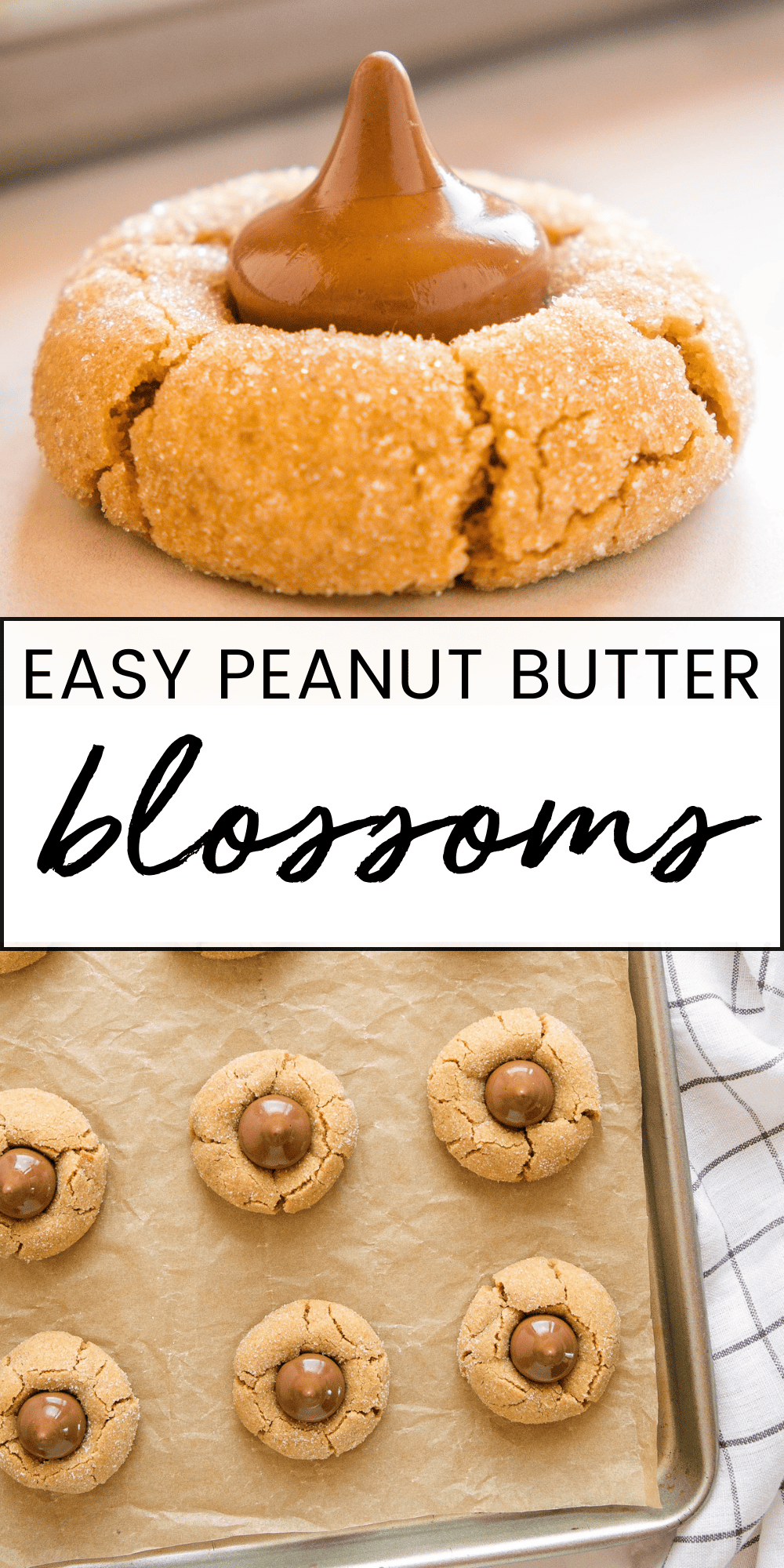 This Peanut Butter Blossoms recipe makes the best classic Christmas cookies! Soft and chewy peanut butter cookies, dipped in sugar, baked to perfection, and topped with milk chocolate. Follow our holiday baking tips for the perfect peanut butter blossom cookies! Recipe from thebusybaker.ca! #peanutbutterblossoms #holidaybaking #christmascookies #peanutbuttercookies #easycookies #howtomakecookies #peanutbutterblossomcookies #peanutbutterblossomsrecipe #peanutbutterblossom via @busybakerblog
