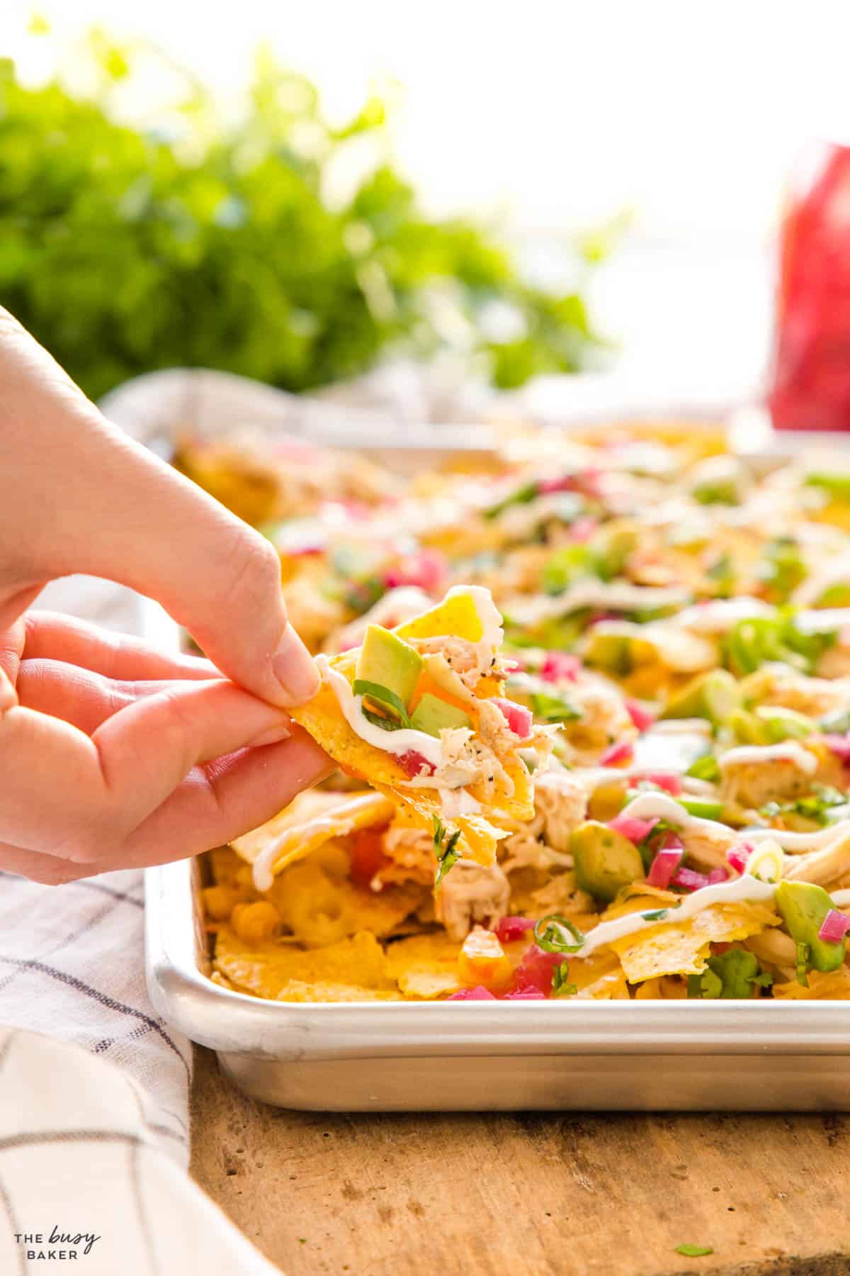 hand holding a chip above the sheet pan of nachos