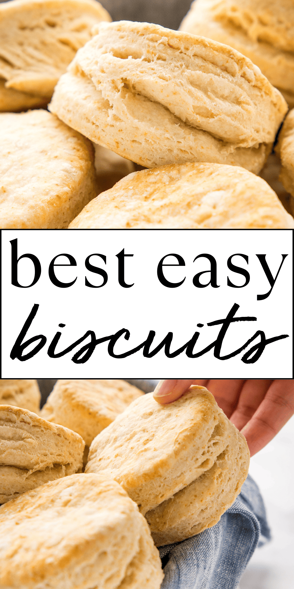 This Biscuits recipe is the ultimate guide to making the perfect flaky, fluffy biscuits from scratch. Make them with basic ingredients using our PRO tips for the BEST buttermilk biscuits you've ever baked! Recipe from thebusybaker.ca! #biscuits #biscuitsrecipe #buttermilkbiscuits #easybiscuits #Homemadebiscuits #biscuitrecipe #biscuitsrecipe #biscuitsandgravy #breakfast #buns #rolls #pastry #baking via @busybakerblog