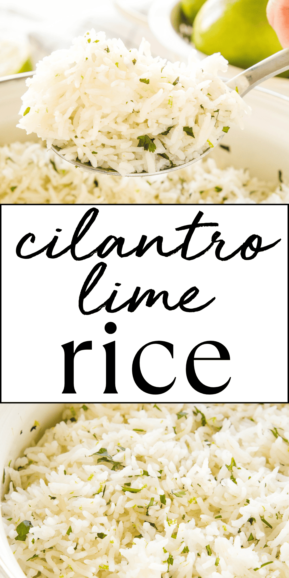 This Cilantro Lime Rice recipe is the perfect easy side dish that's ready in 20 minutes or less. Perfect for serving with your favourite Tex-Mex dishes, in burritos or fajitas, or alongside grilled chicken or fish. Made with long grain rice, fresh lime and cilantro, this Cilantro Lime Rice is full of flavour! Recipe from thebusybaker.ca! #cilantrolimerice #cilantrorice #limerice #sidedish #ricecooker #mexicanrice #rice #glutenfree via @busybakerblog