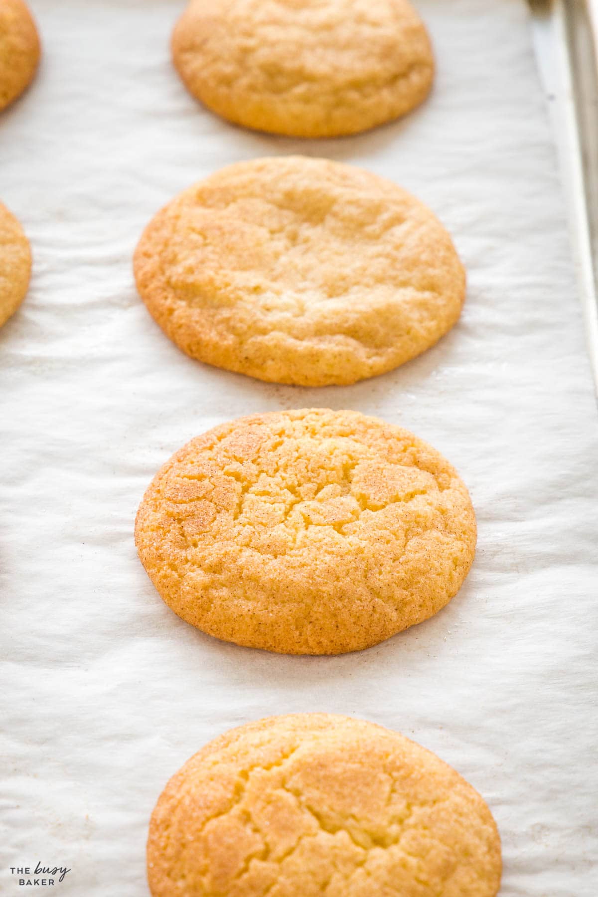 soft and chewy cookies with cinnamon sugar