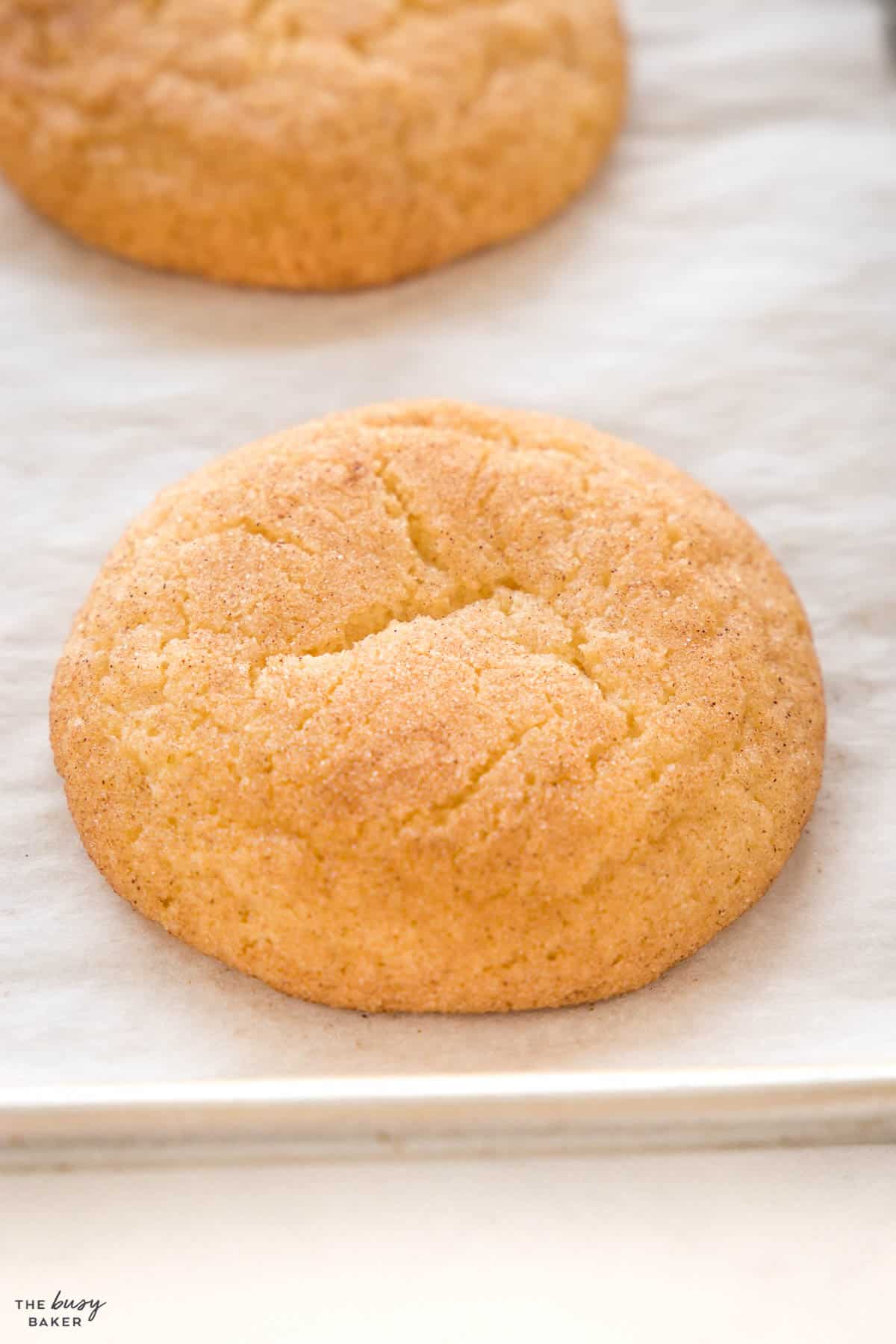 soft and chewy cookie with cinnamon sugar