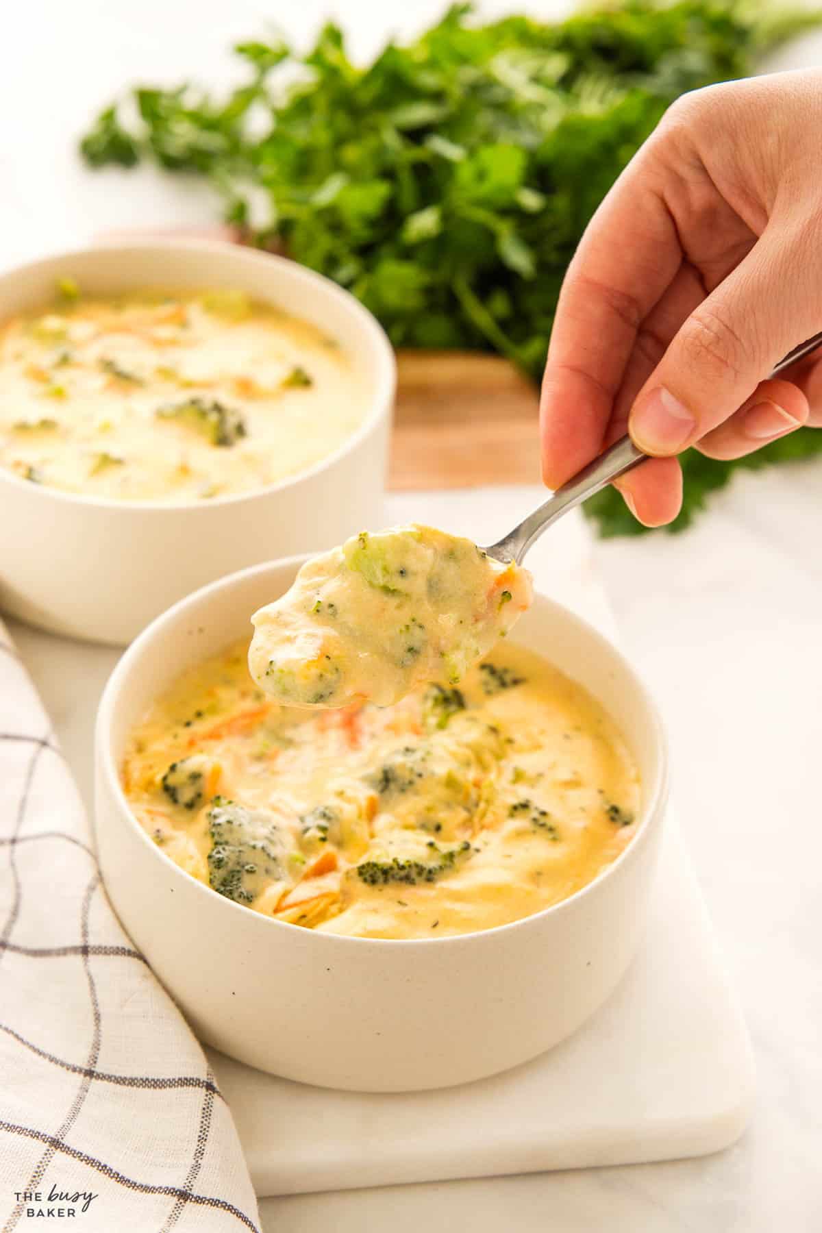 broccoli cheddar soup