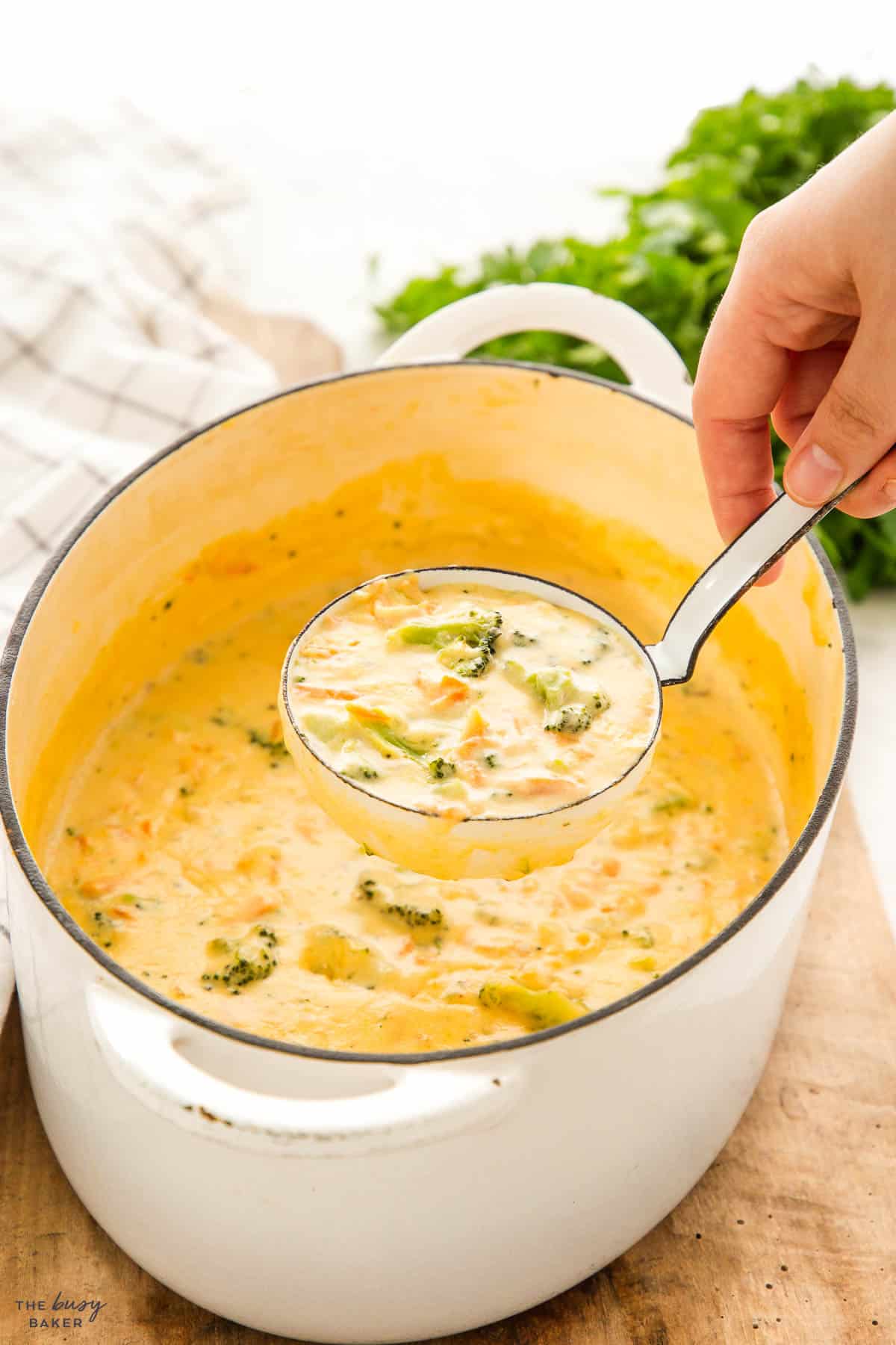 soup ladle serving broccoli cheese soup