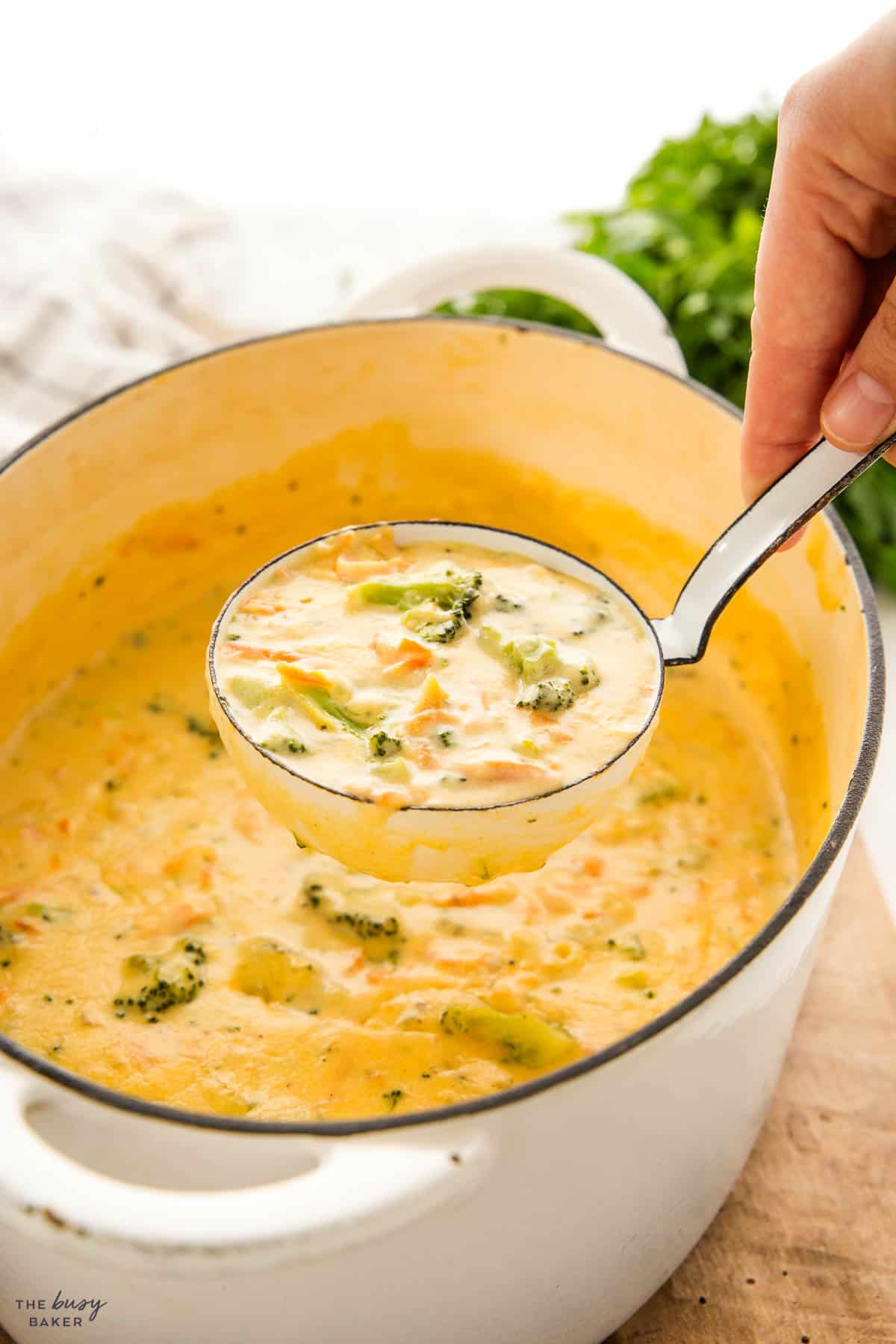 soup ladle full of creamy panera broccoli cheese soup