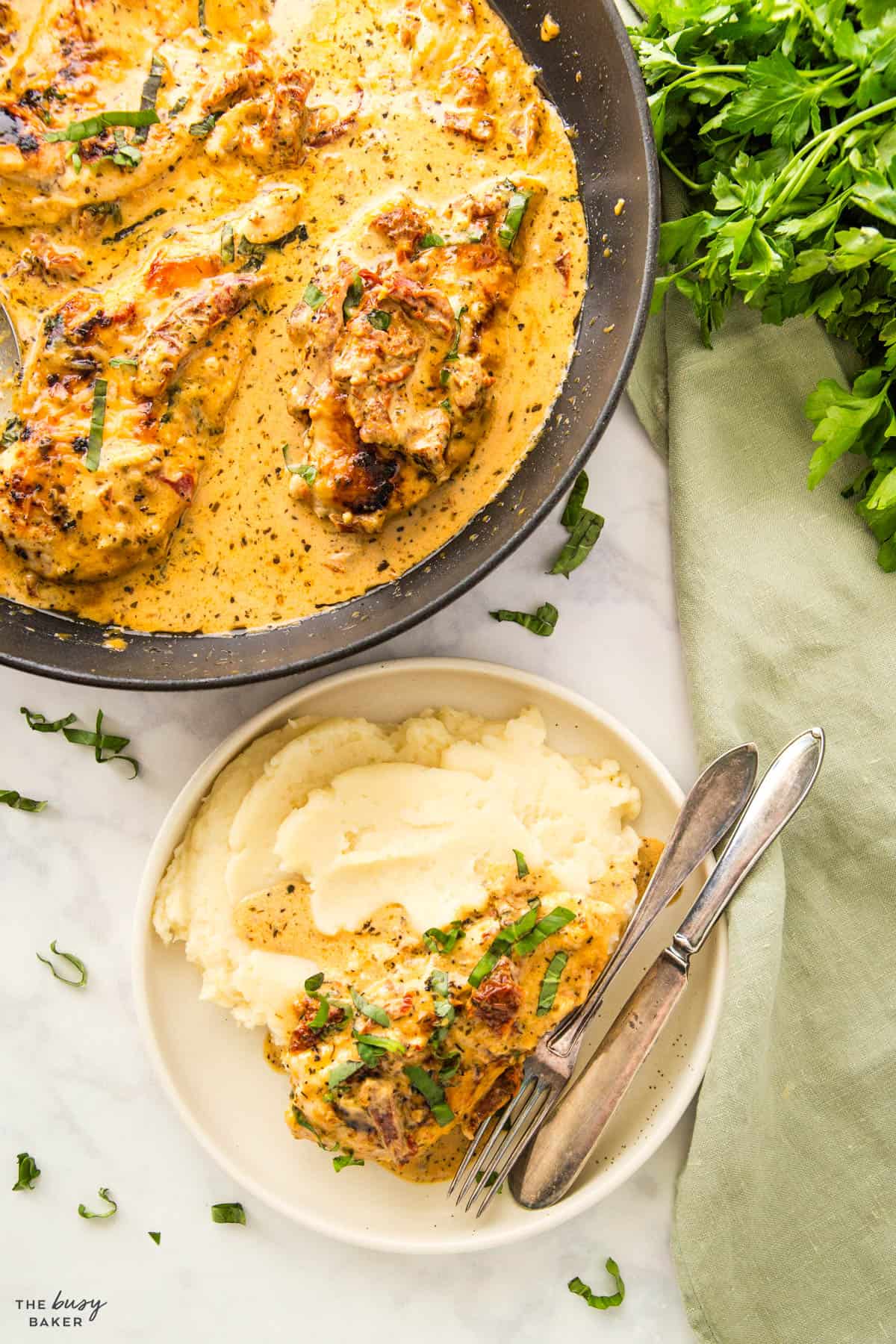 creamy chicken with a sun-dried tomato sauce and mashed potatoes