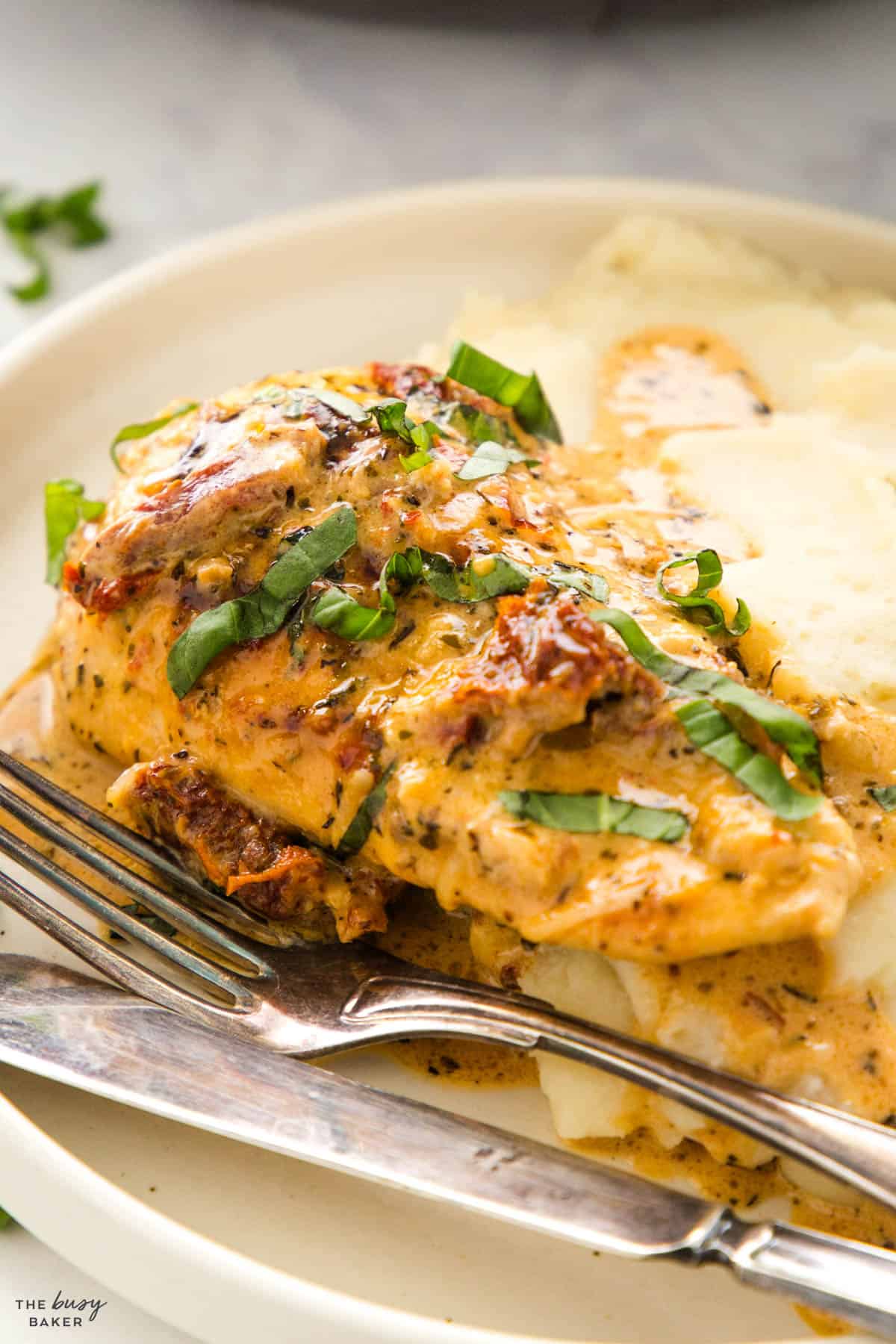 tender chicken breast with sun dried tomato sauce
