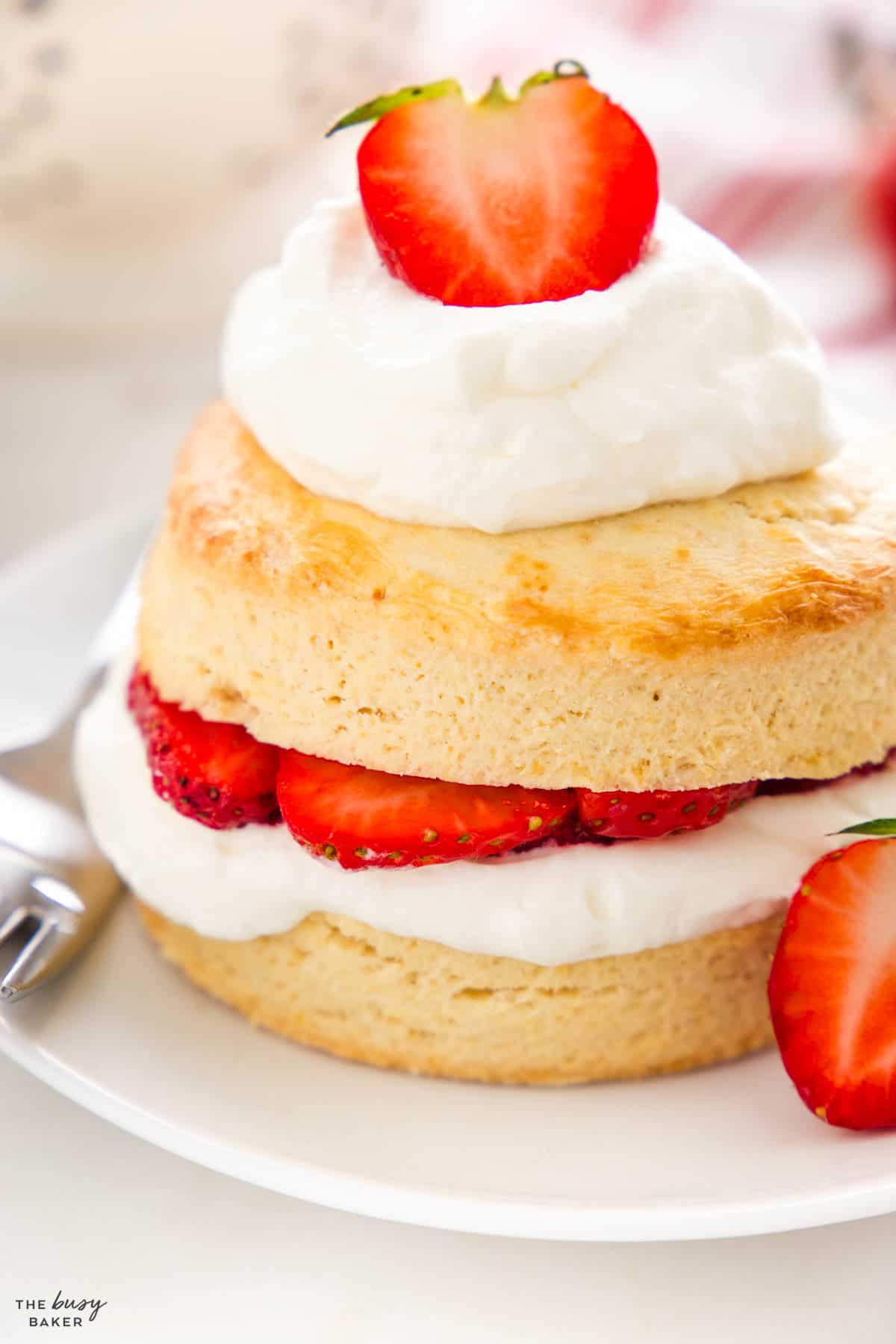 closeup image: strawberry shortcake with cream