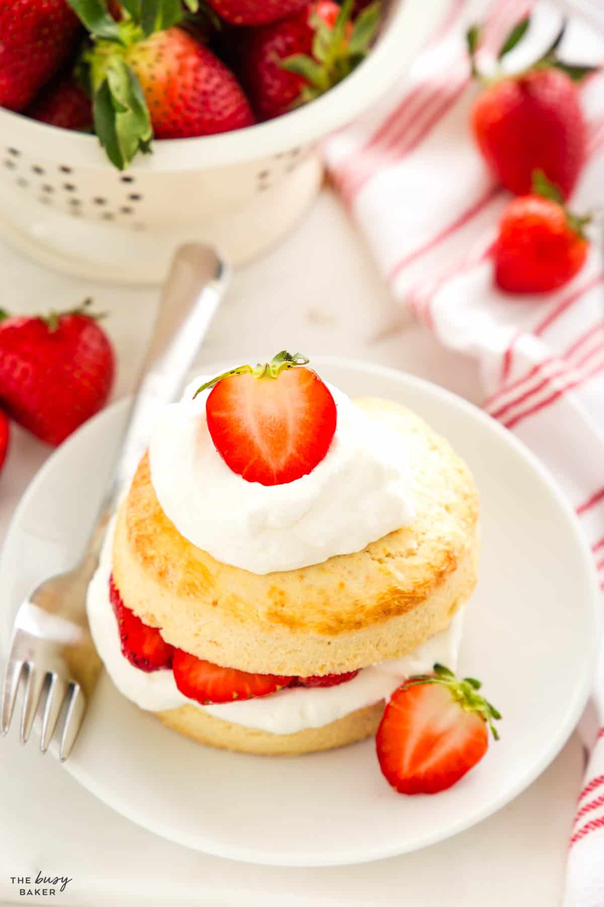 strawberry shortcake with cream and strawberries