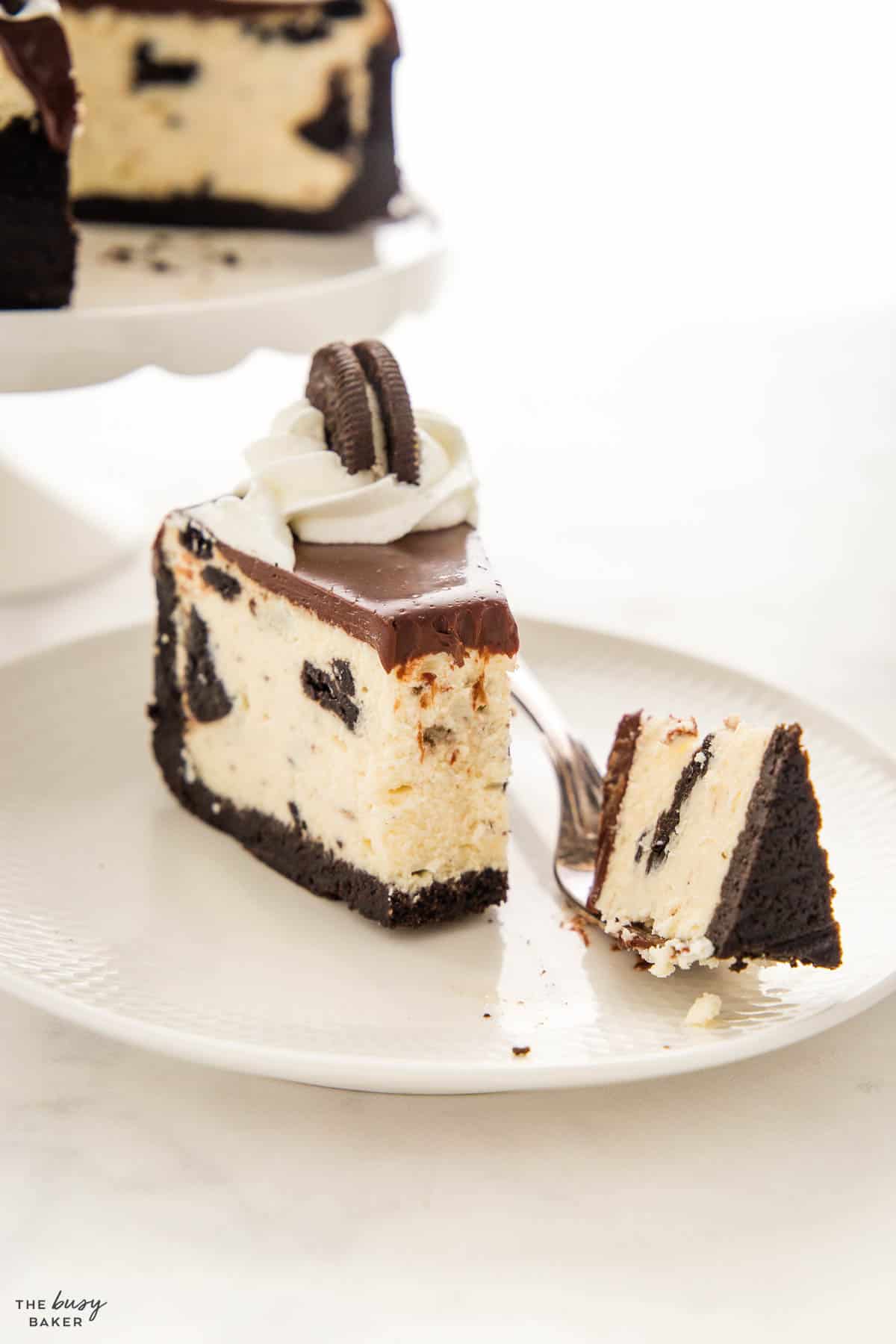 creamy slice of baked Oreo Cheesecake