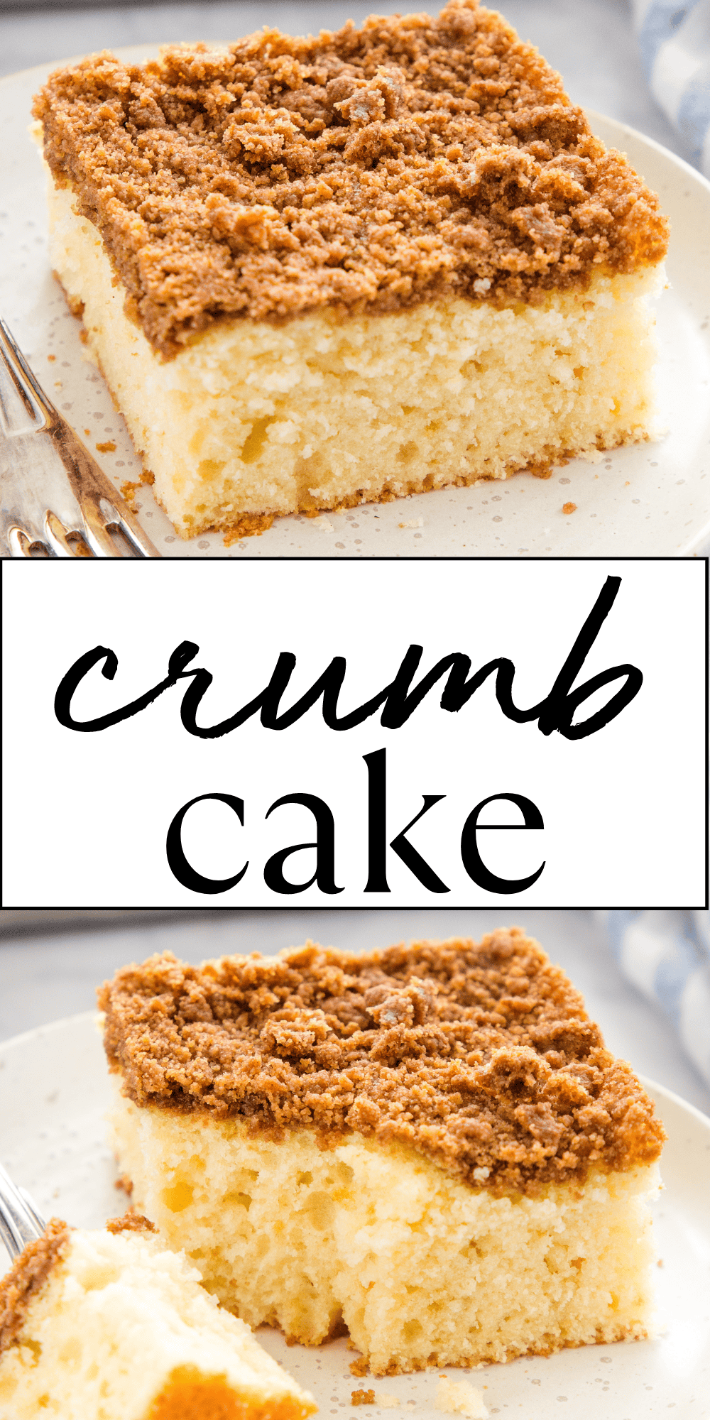 This Crumb Cake recipe is a delicious coffee cake style dessert made with a tender vanilla cake base and a crispy brown sugar crumb topping. Flavoured with warm cinnamon, this crumb cake makes the perfect sweet snack! Recipe from thebusybaker.ca! #crumbcake #crumbcakerecipe #coffeecake #coffeecakerecipe #easycoffeecakerecipe #cakerecipe #homemade #baking #bakingrecipe #easyrecipe via @busybakerblog