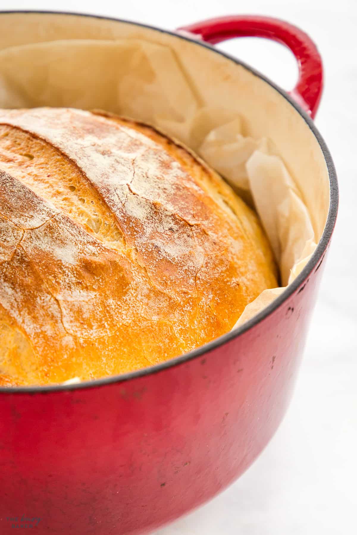 potato bread in Dutch oven