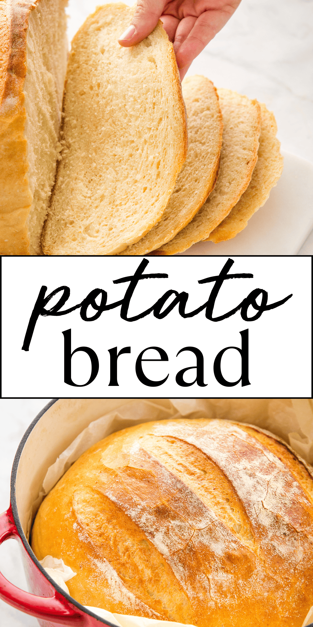 This Potato Bread recipe is the best soft and fluffy bread with a thin, crispy crust that's made with mashed potatoes. Make it as 2 sandwich loaves or one large round loaf! Recipe from thebusybaker.ca! #potatobread homemadebread #easybreadrecipe #homemadebreadrecipe #dutchovenbread #baking #fallbaking #homemade #homebaked via @busybakerblog