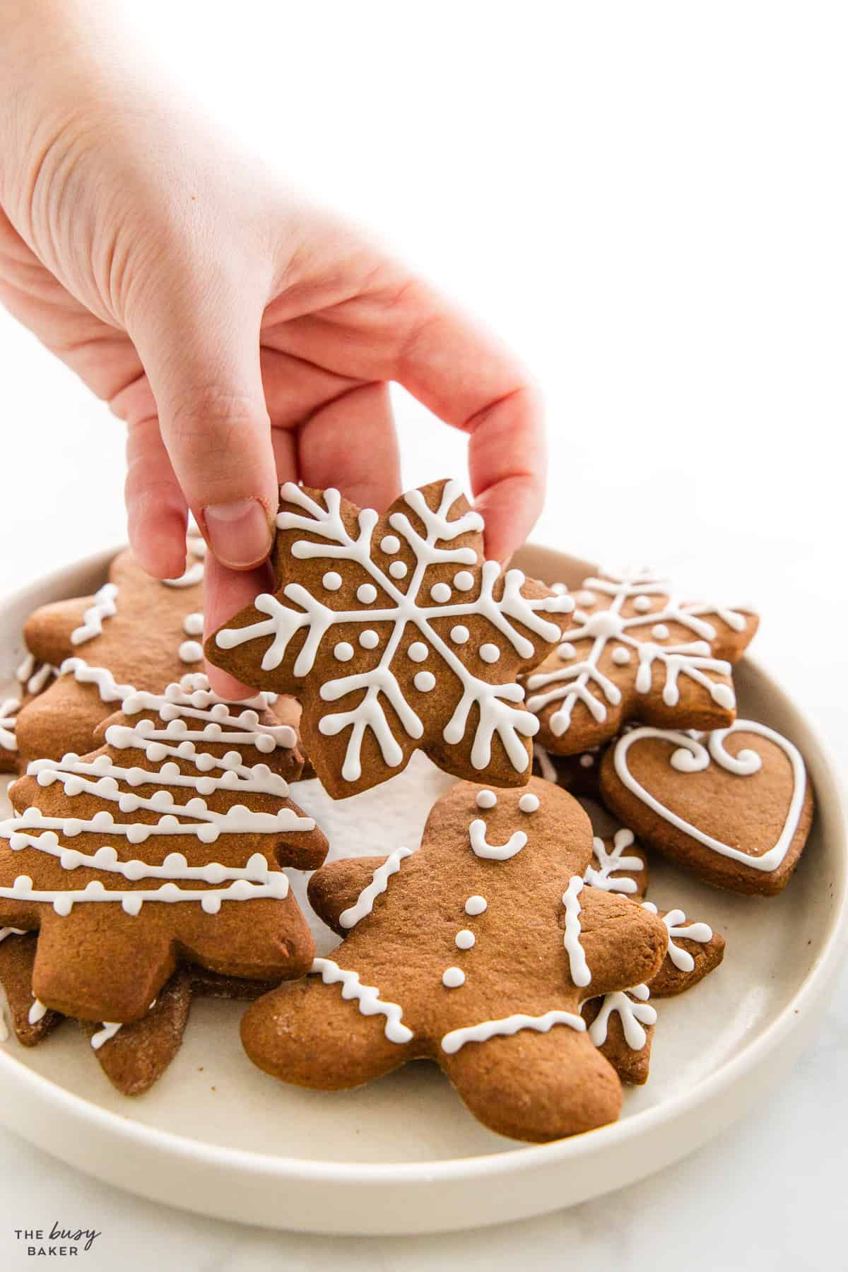 snowflake gingerbread cookies recipe