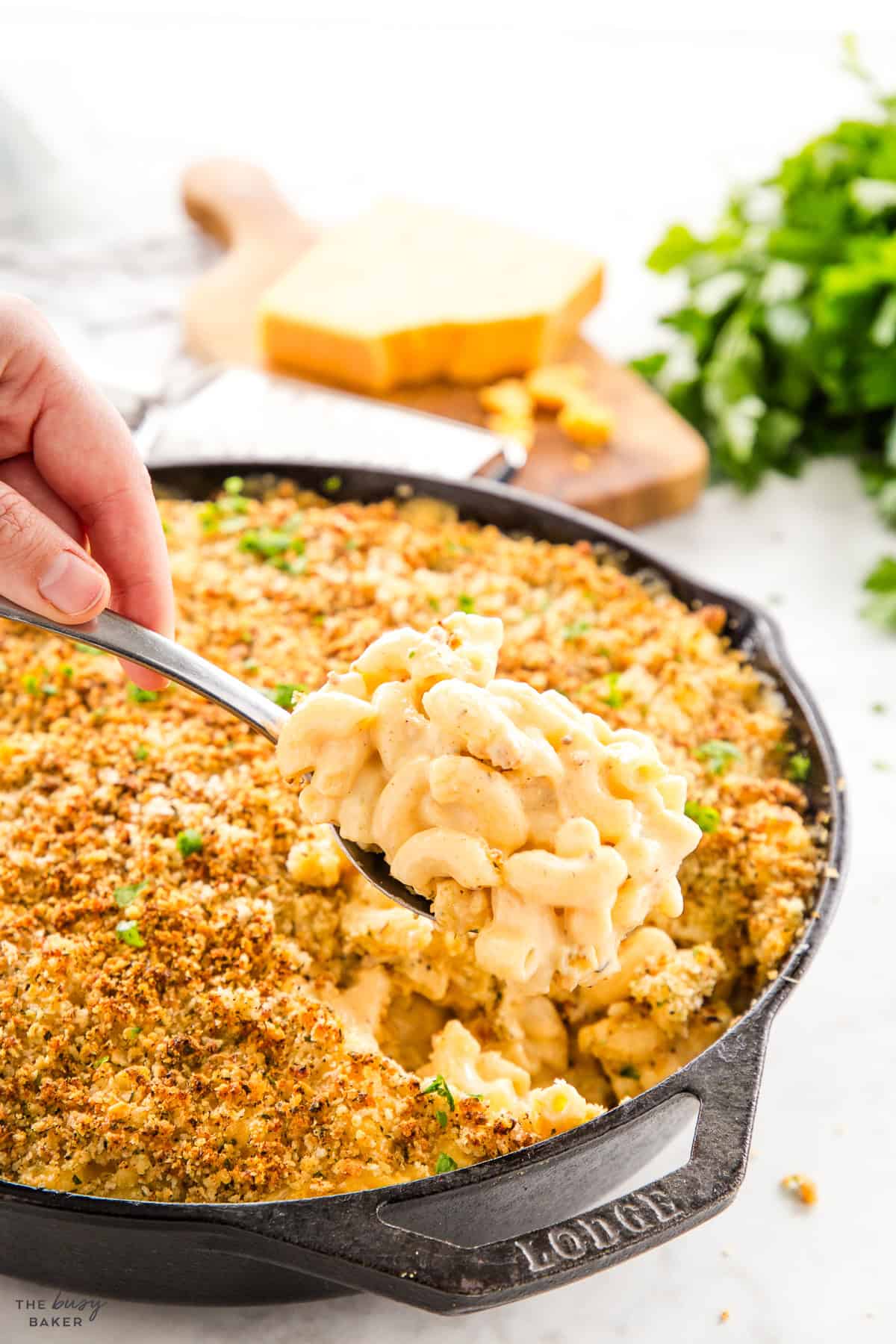 baked mac and cheese recipe