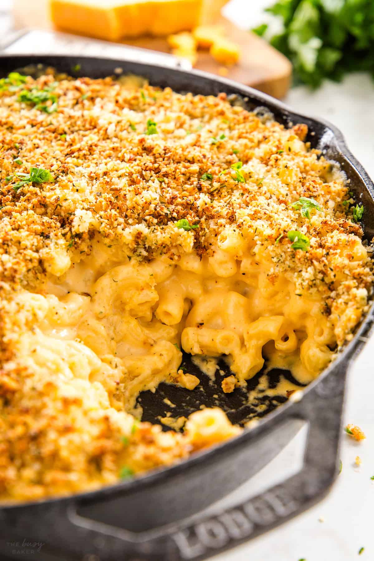 creamy baked macaroni and cheese