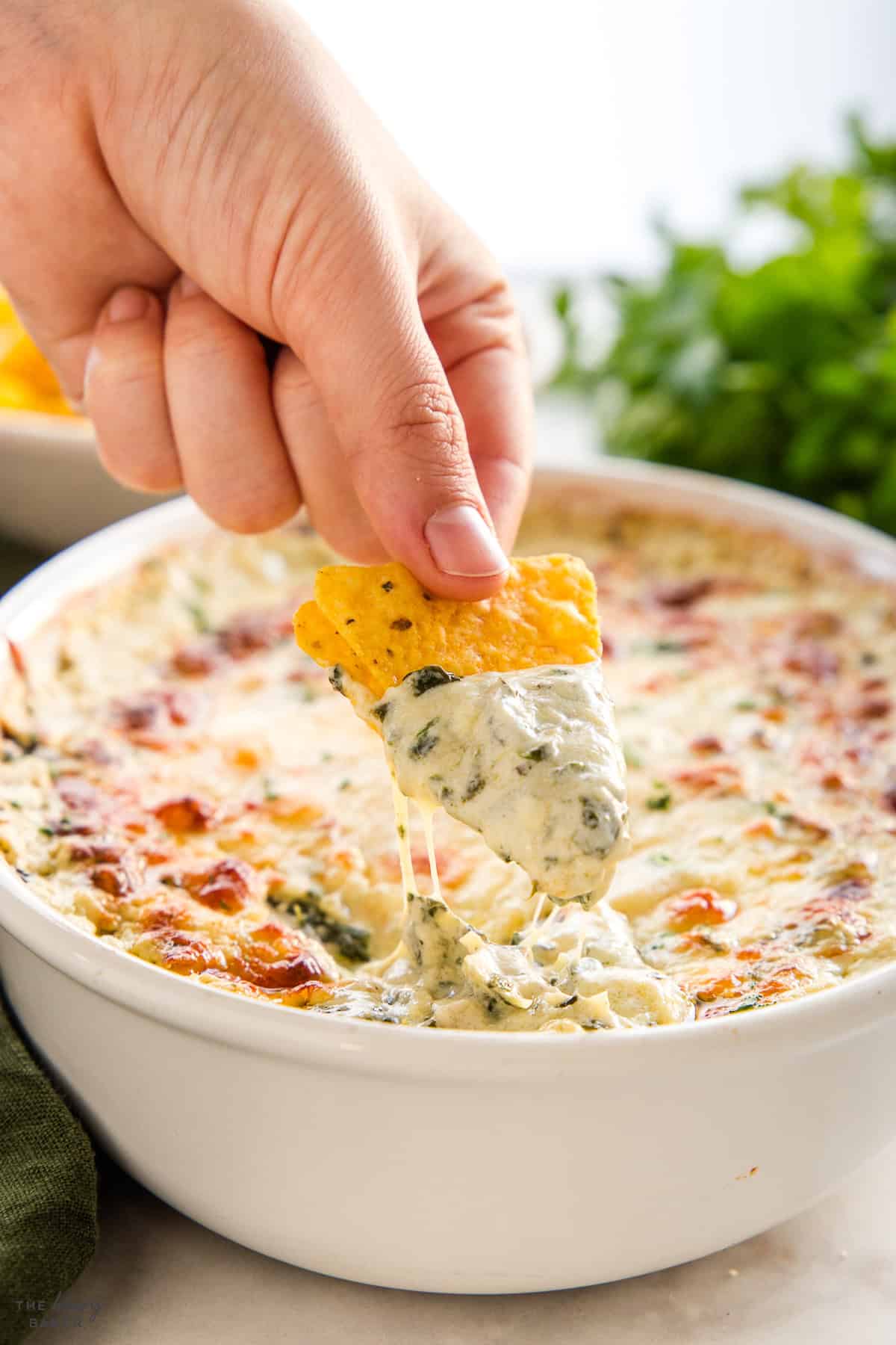 spinach and artichoke dip recipe with tortilla chips