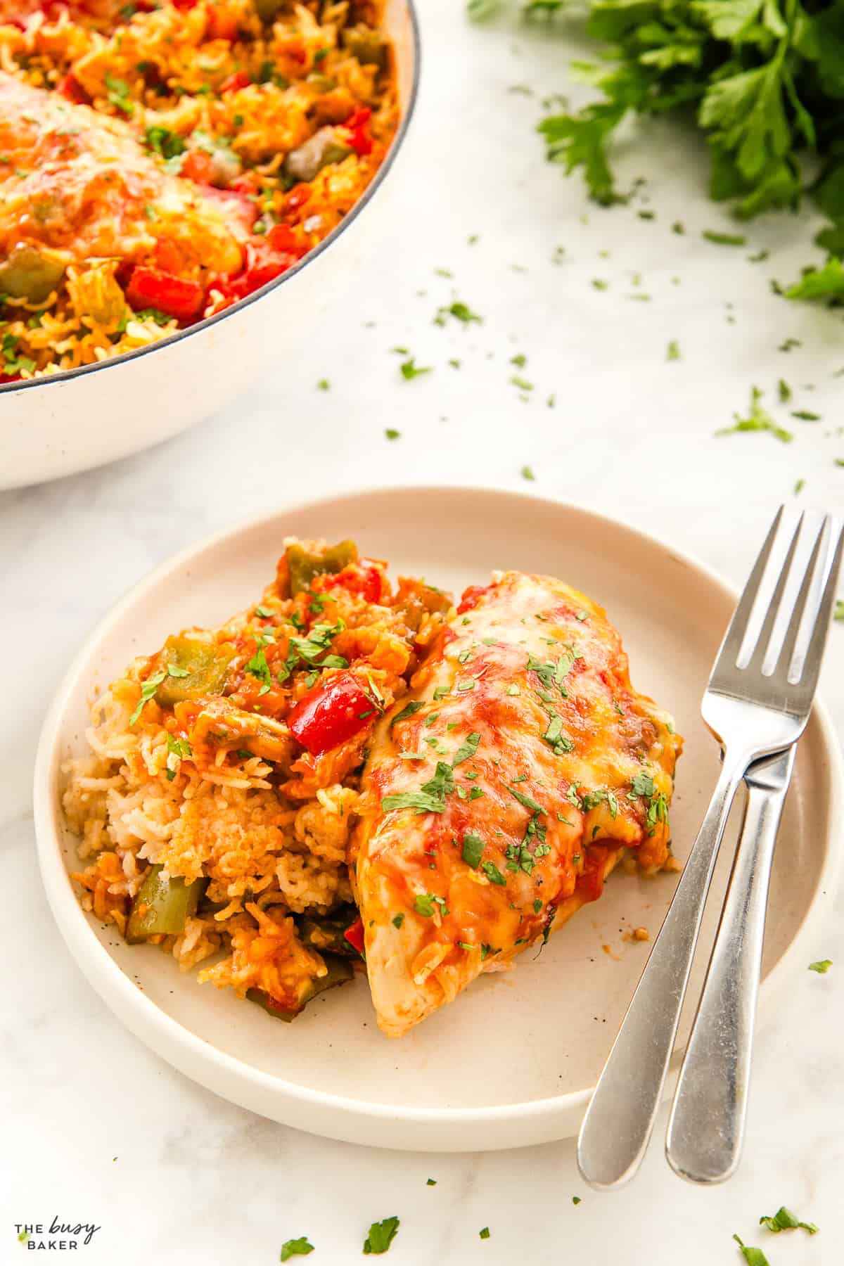 plate of chicken breast with rice and salsa