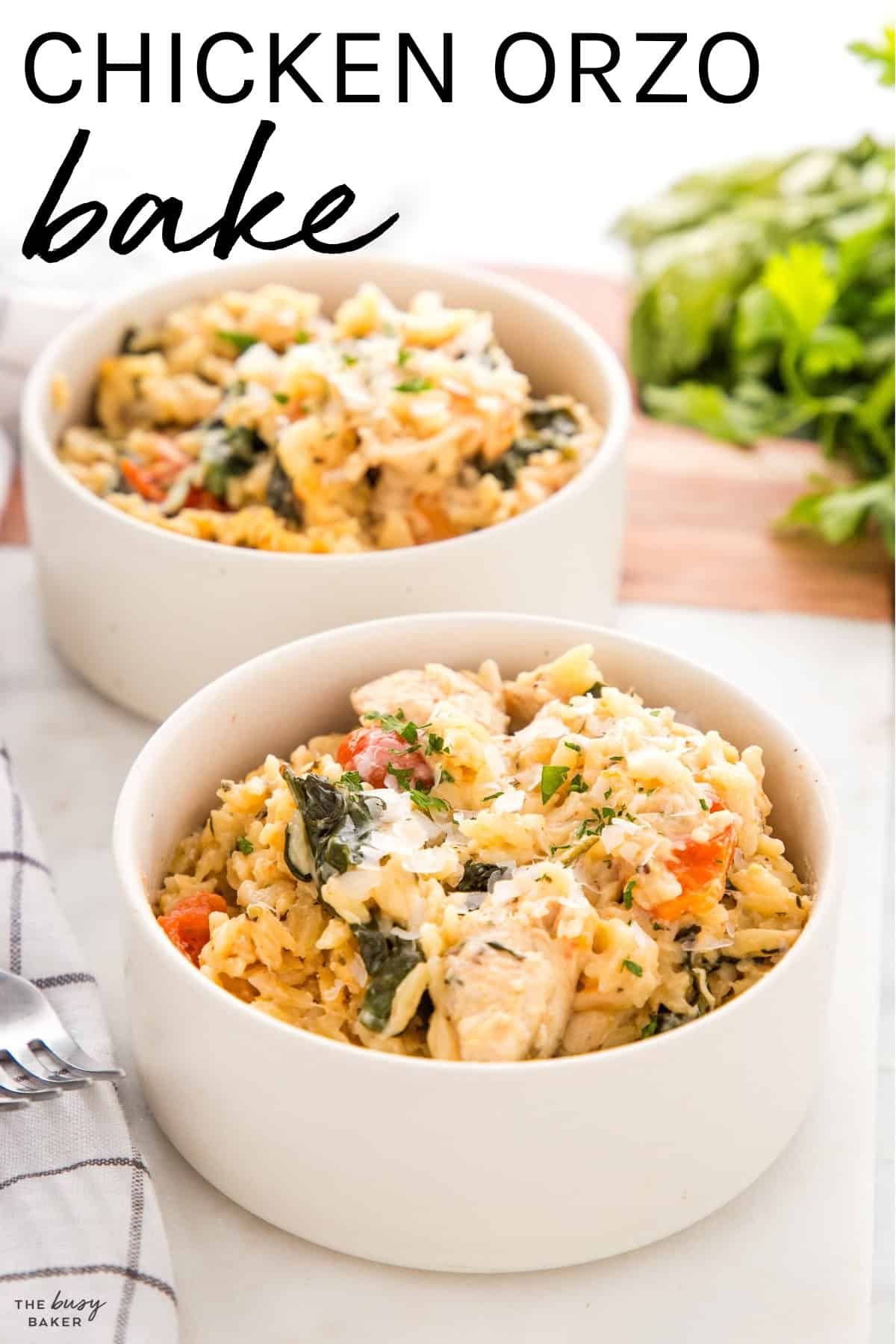 chicken orzo bake recipe