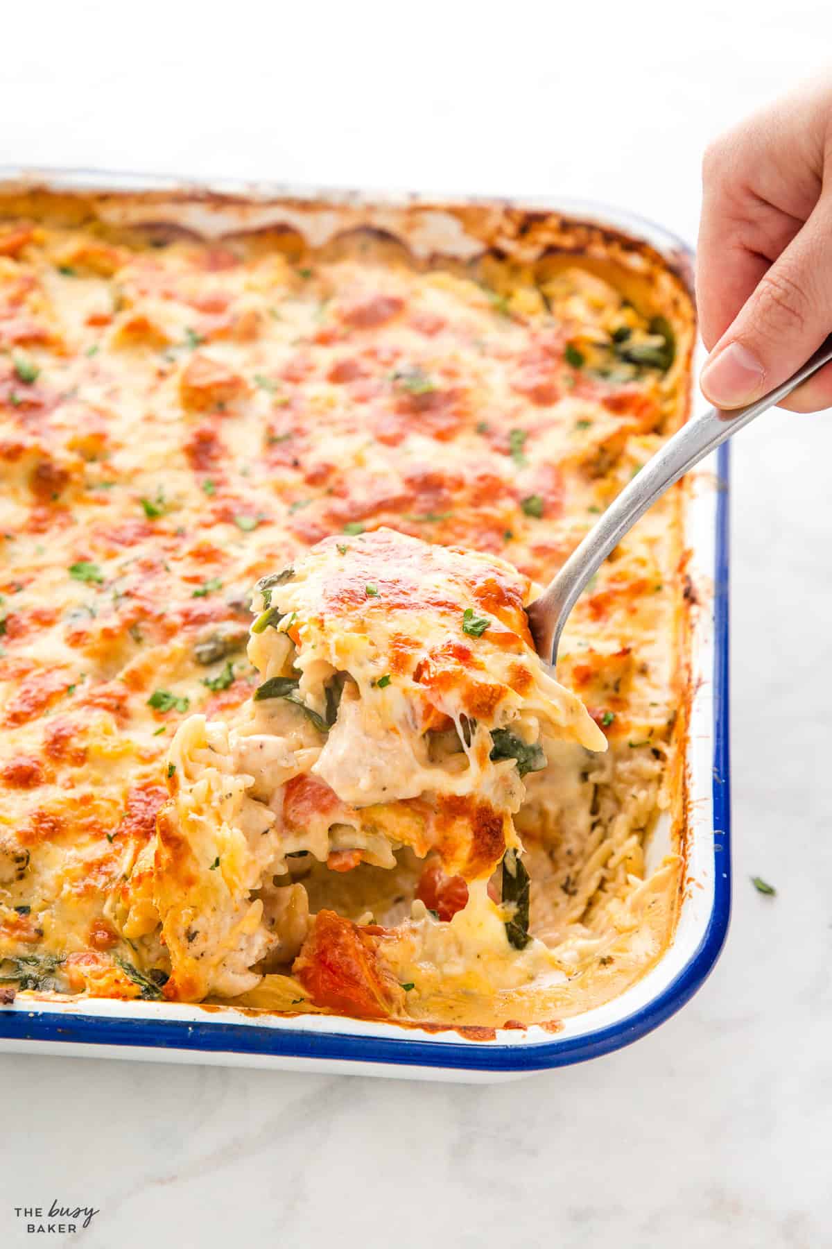 spoonful of chicken orzo bake with tomatoes and spinach