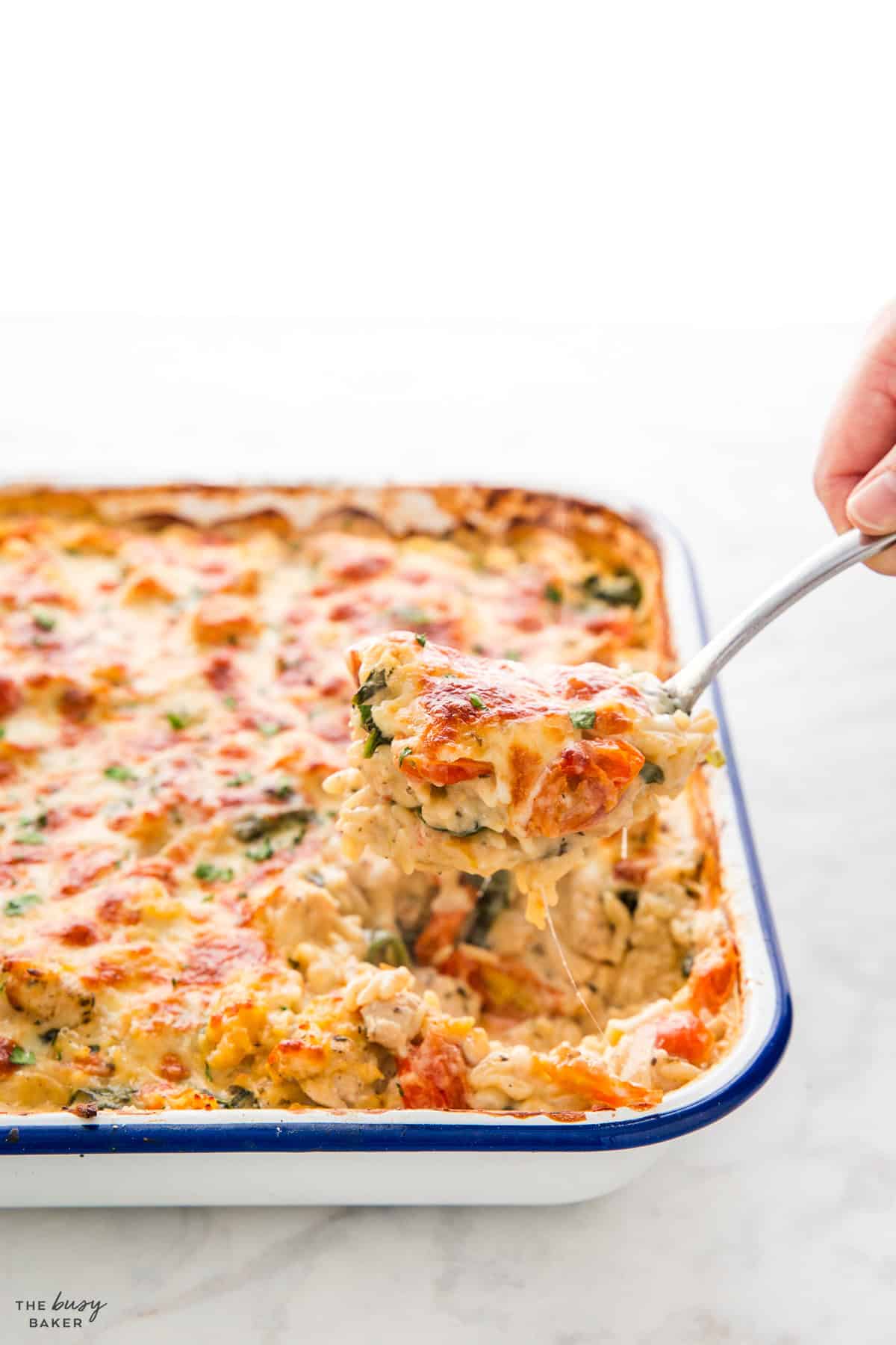 spoonful of chicken orzo bake