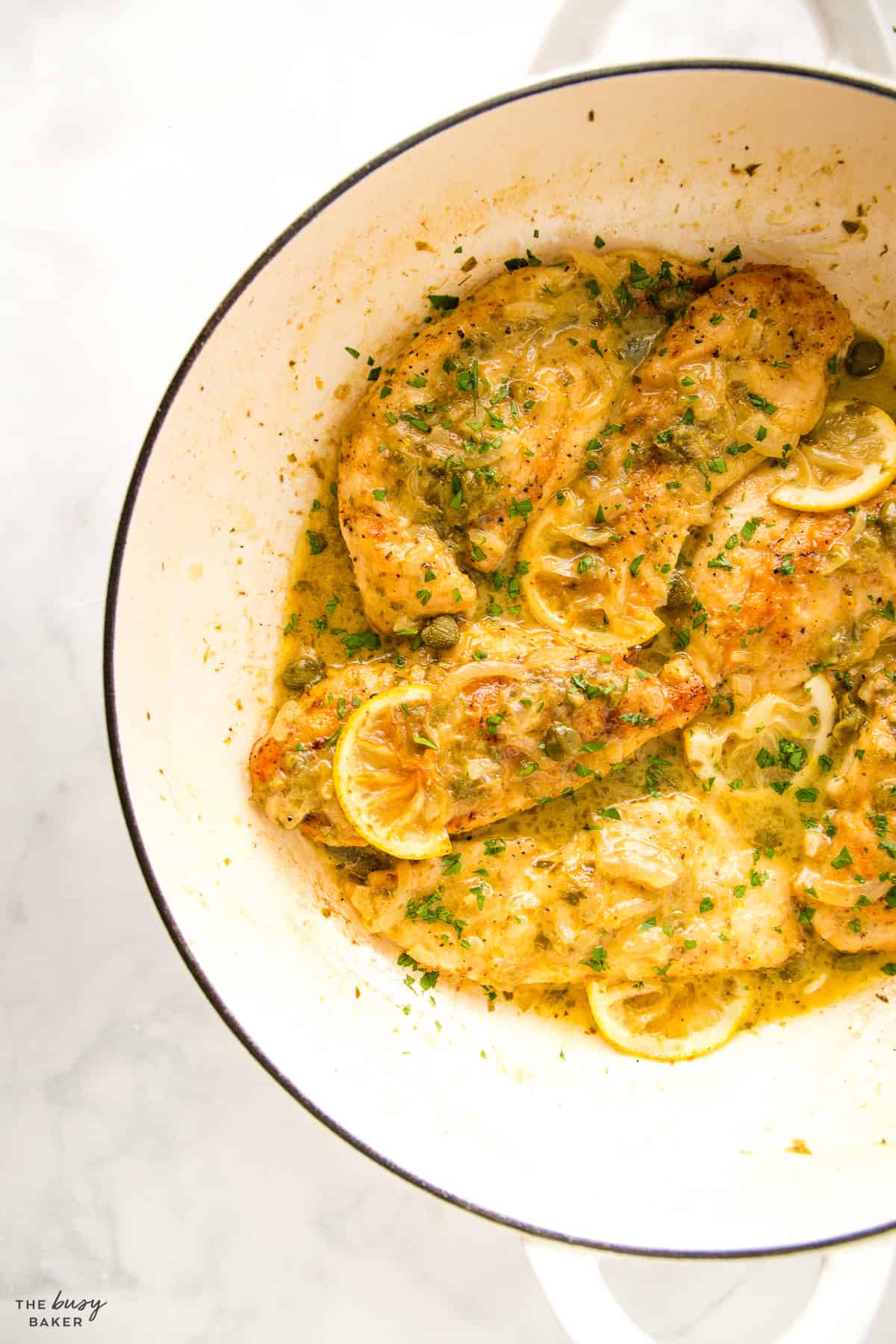 overhead image: chicken piccata