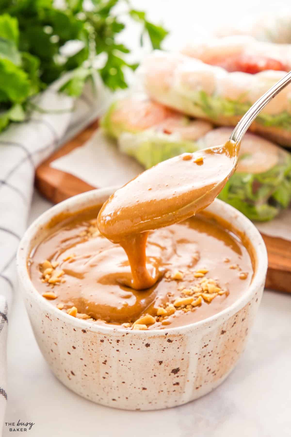 spoonful of asian dipping sauce