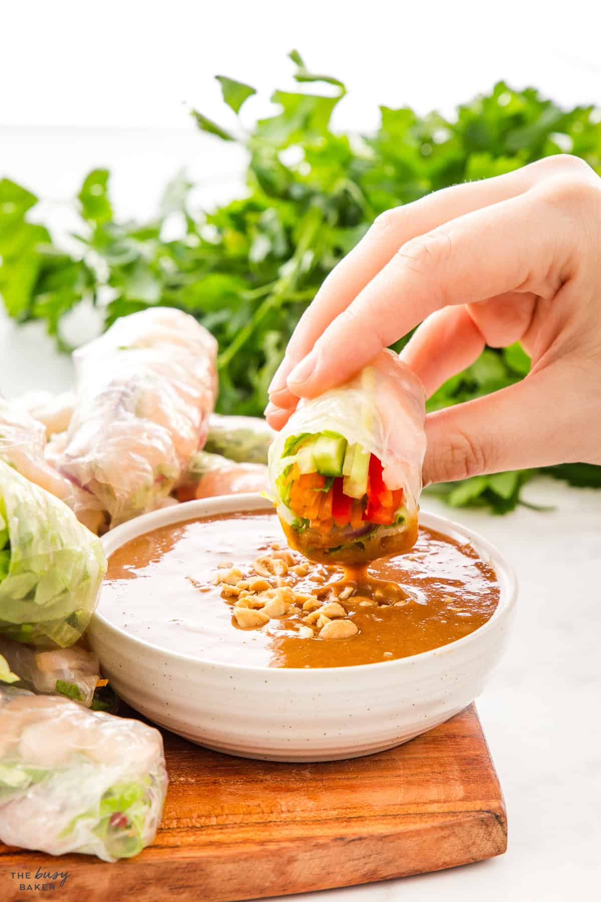 peanut sauce for dipping