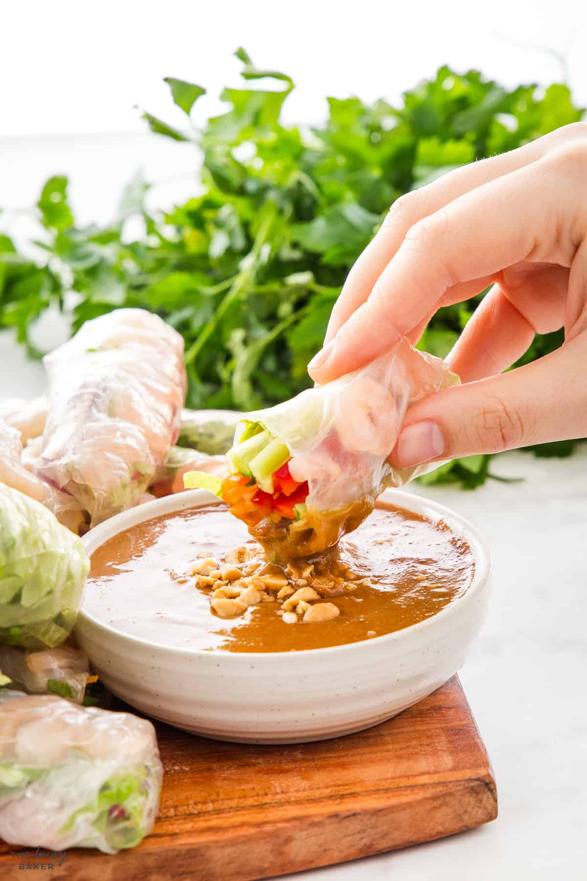 peanut sauce for dipping