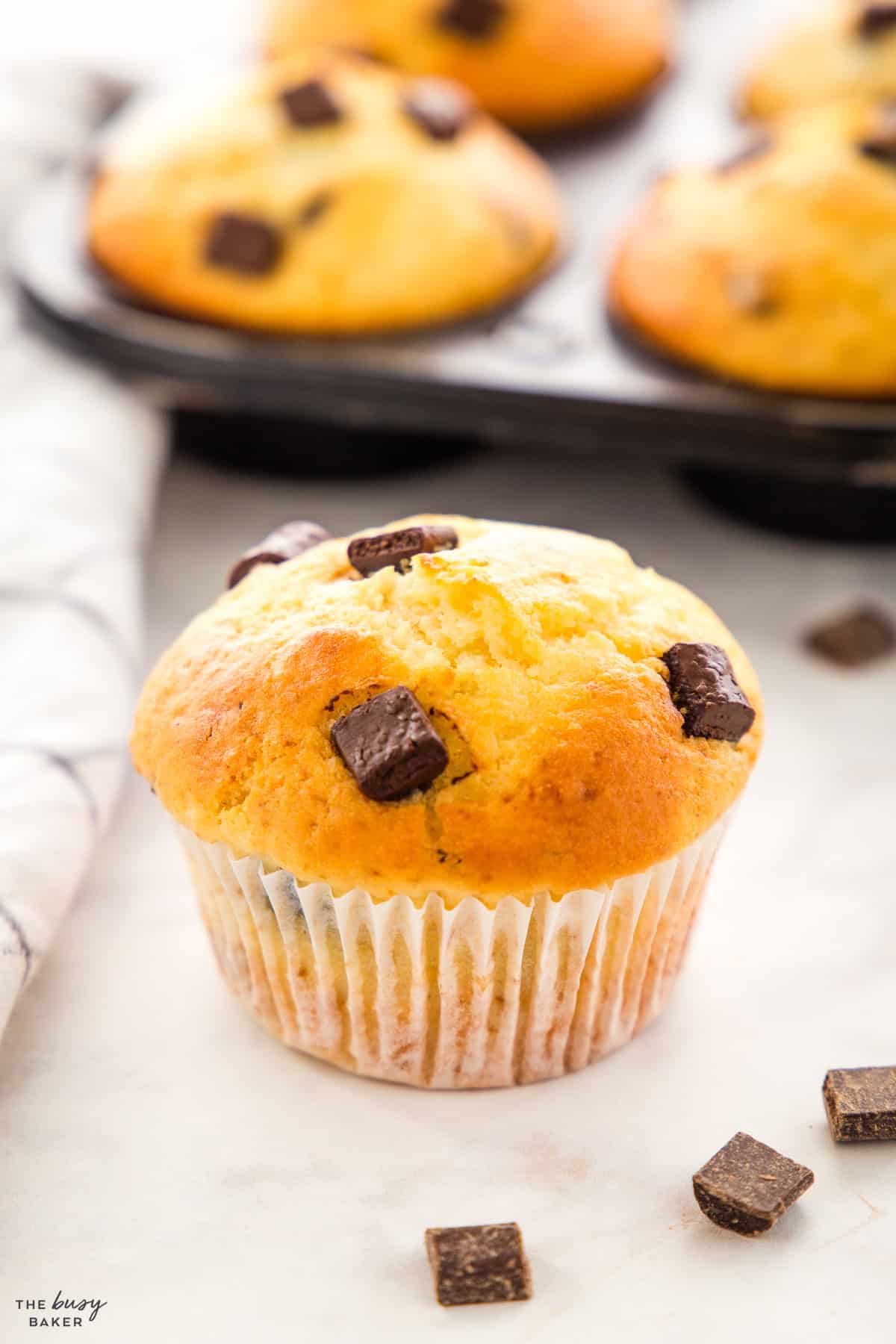 golden brown muffin with chocolate chunks