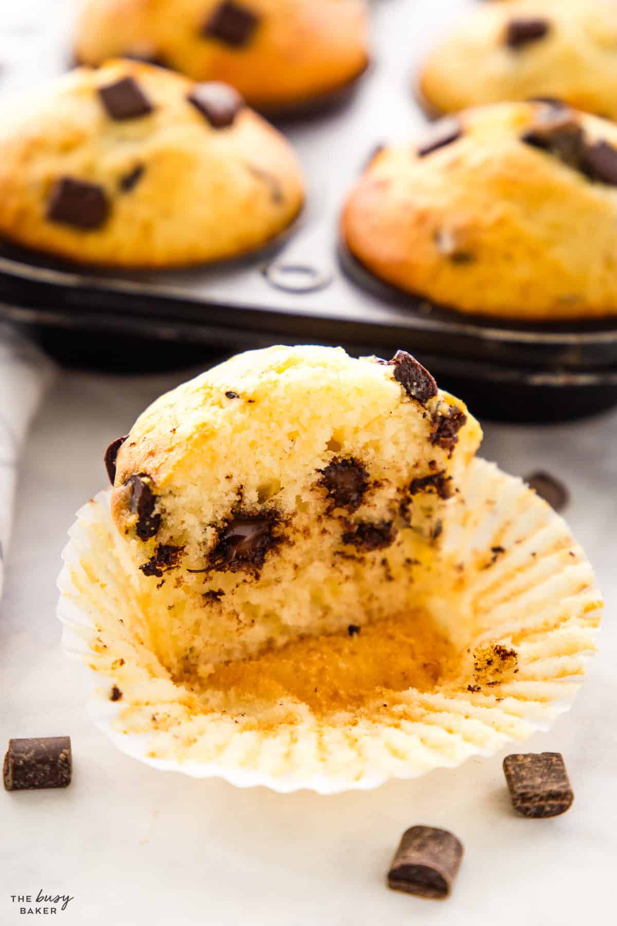 greek yogurt muffins with choclate chips