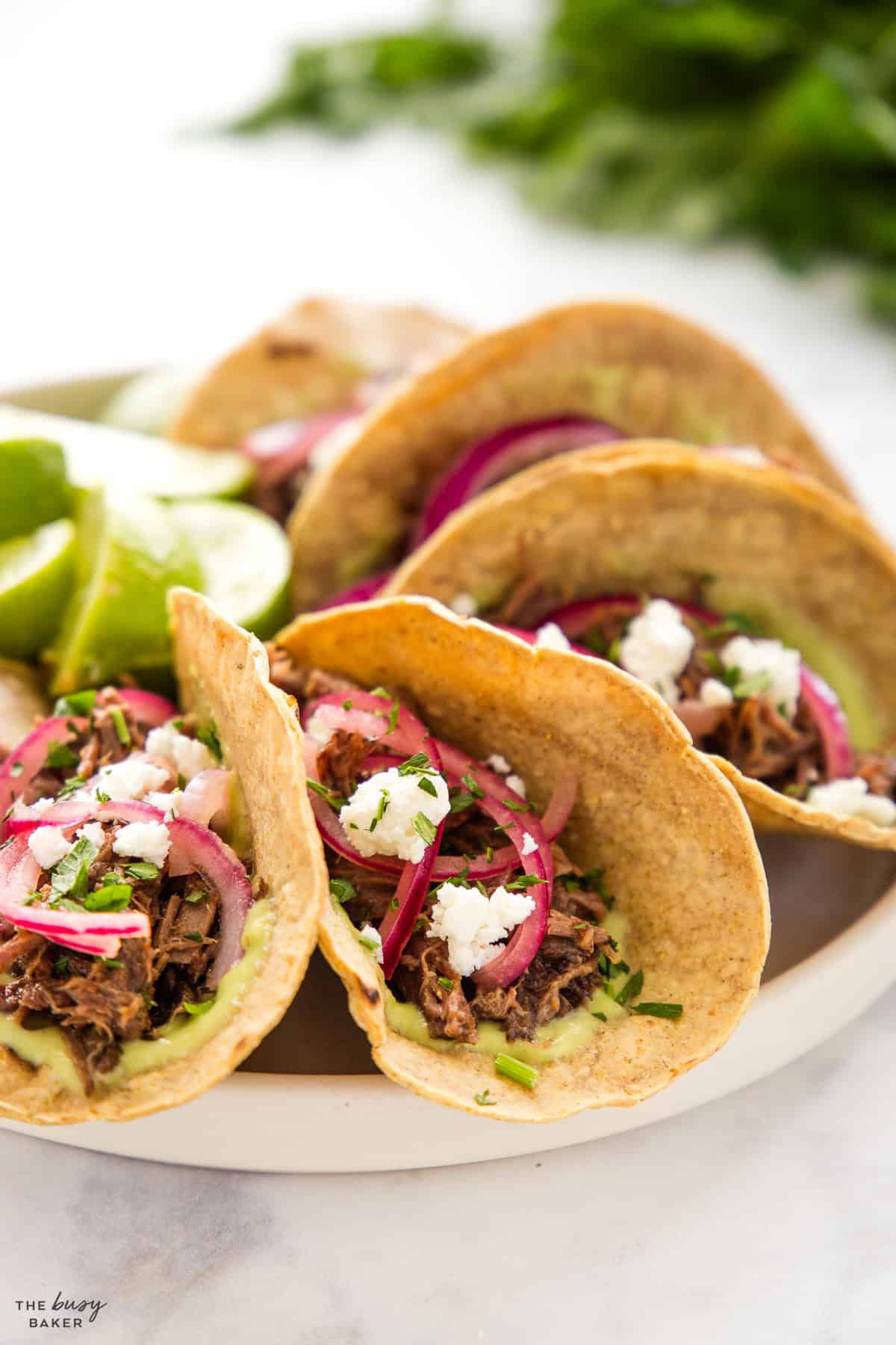 shredded beef barbacoa tacos