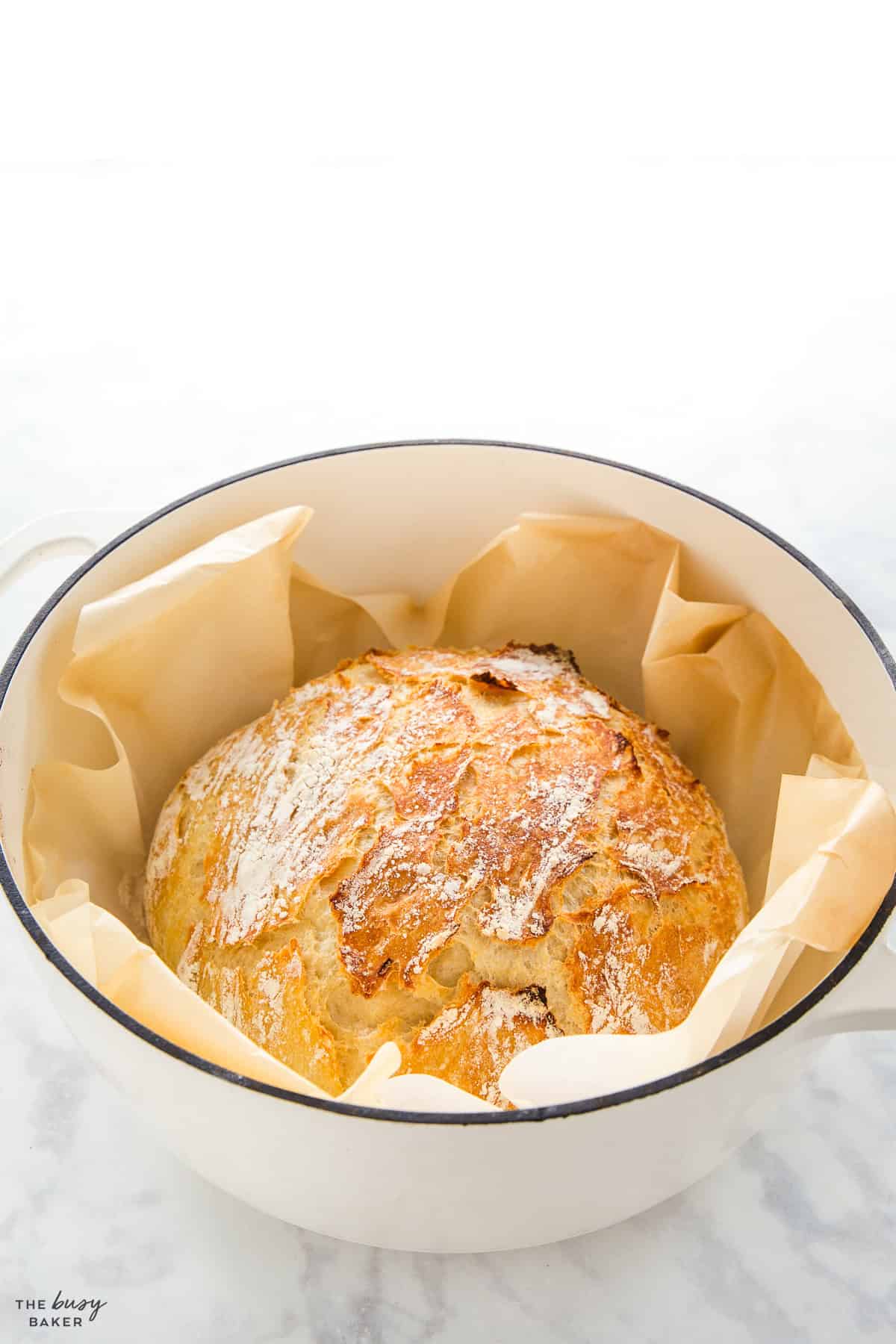 no knead artisan bread loaf in a pot