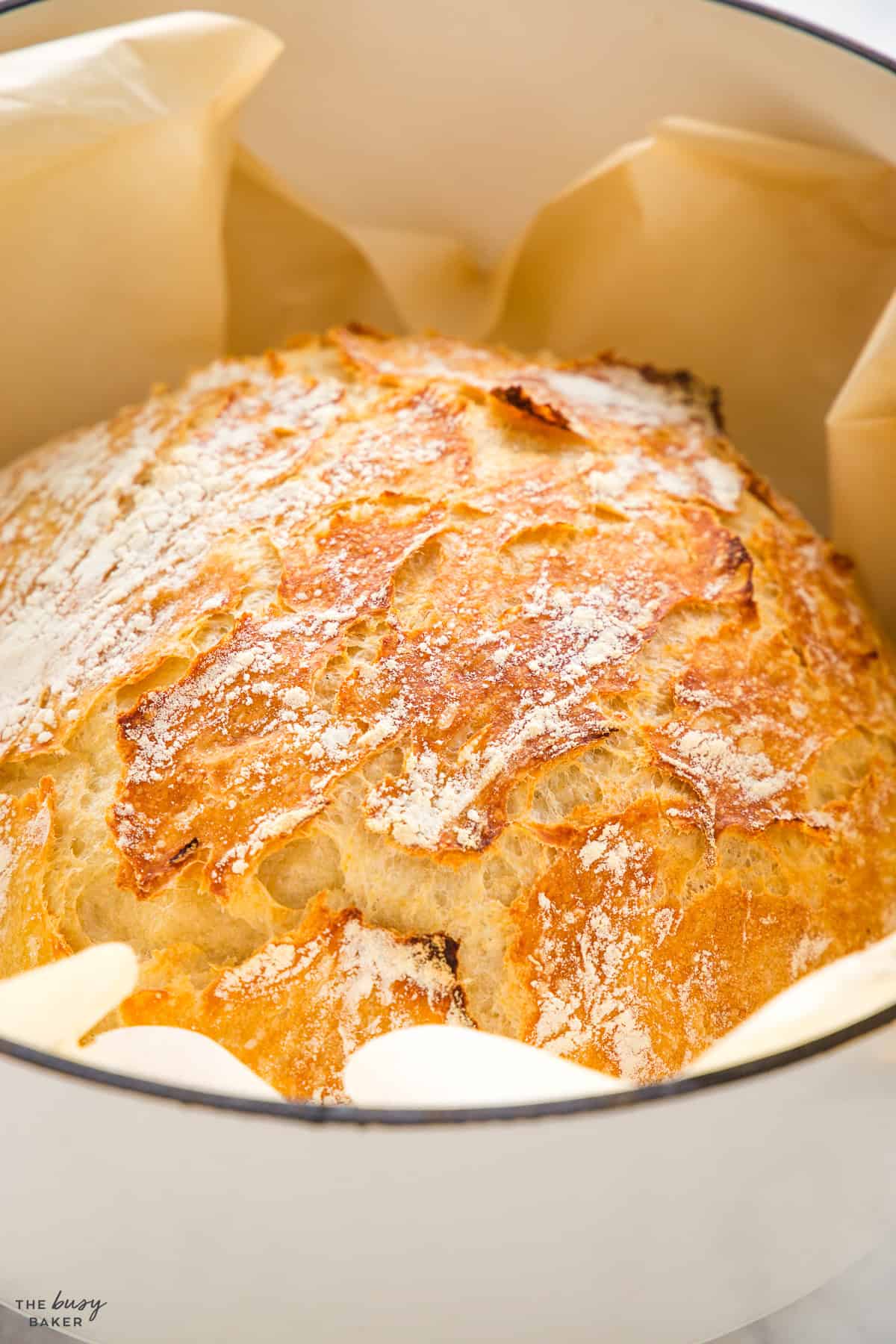 artisan bread with a crispy crust