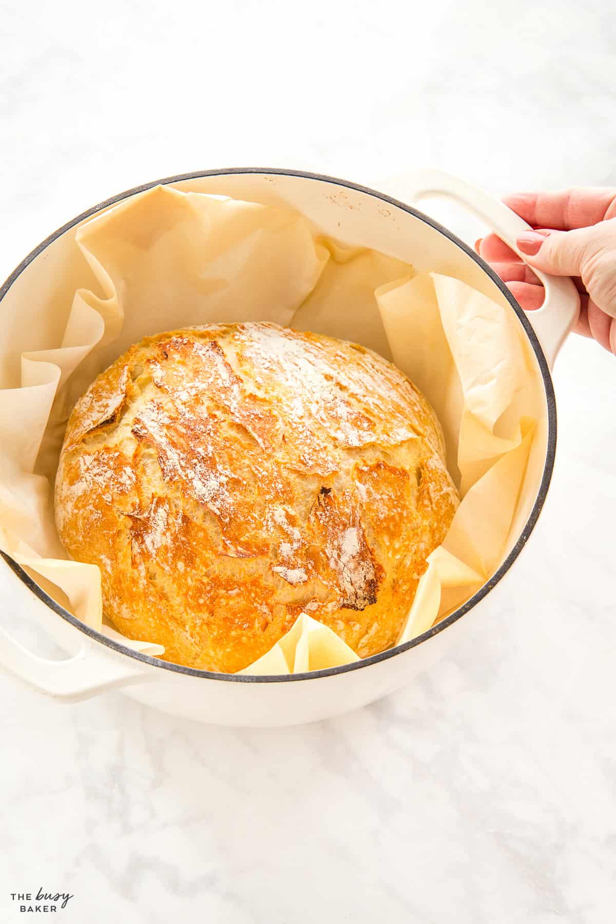 artisan dutch oven bread loaf in a pot