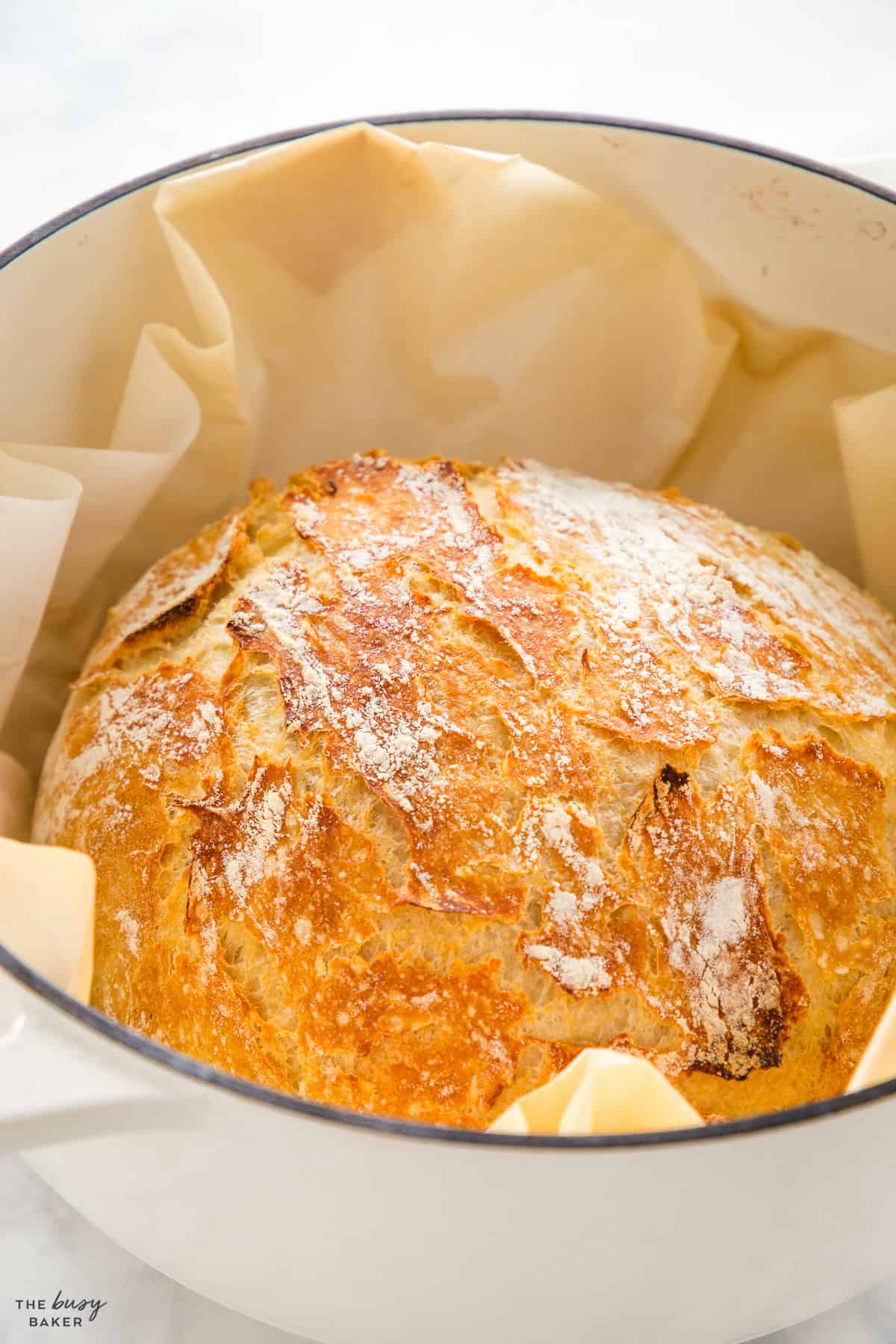 crusty bread in dutch oven