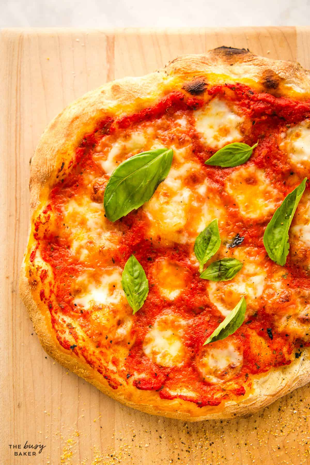 margherita pizza with fresh basil