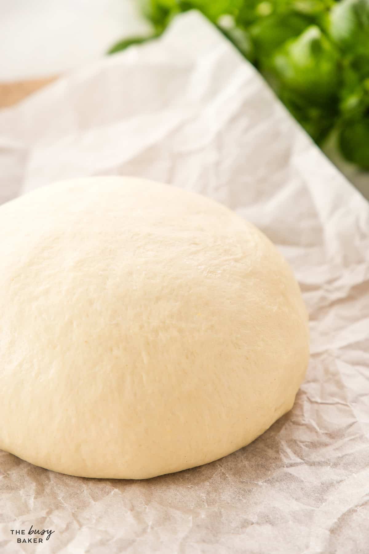 a ball of pizza dough