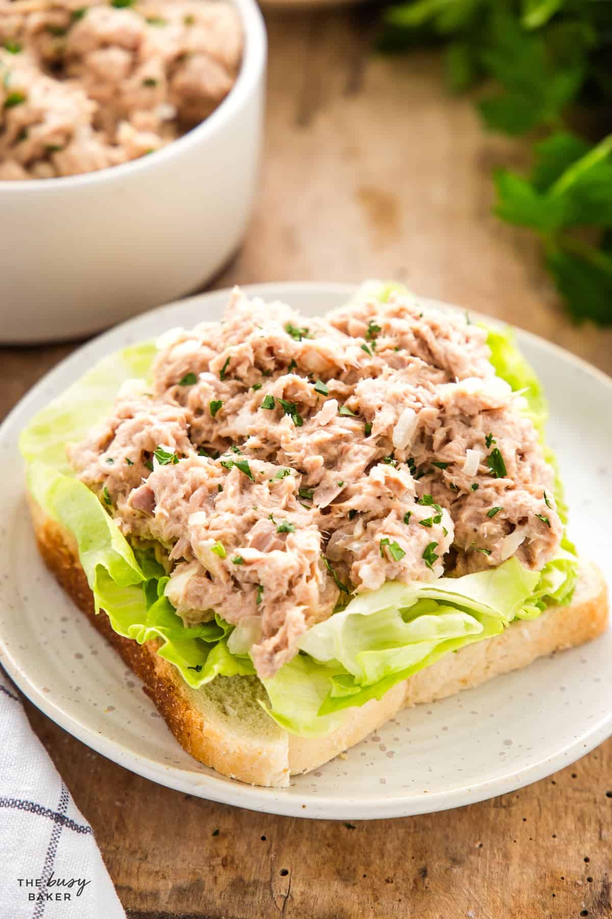 tuna salad on bread with lettuce