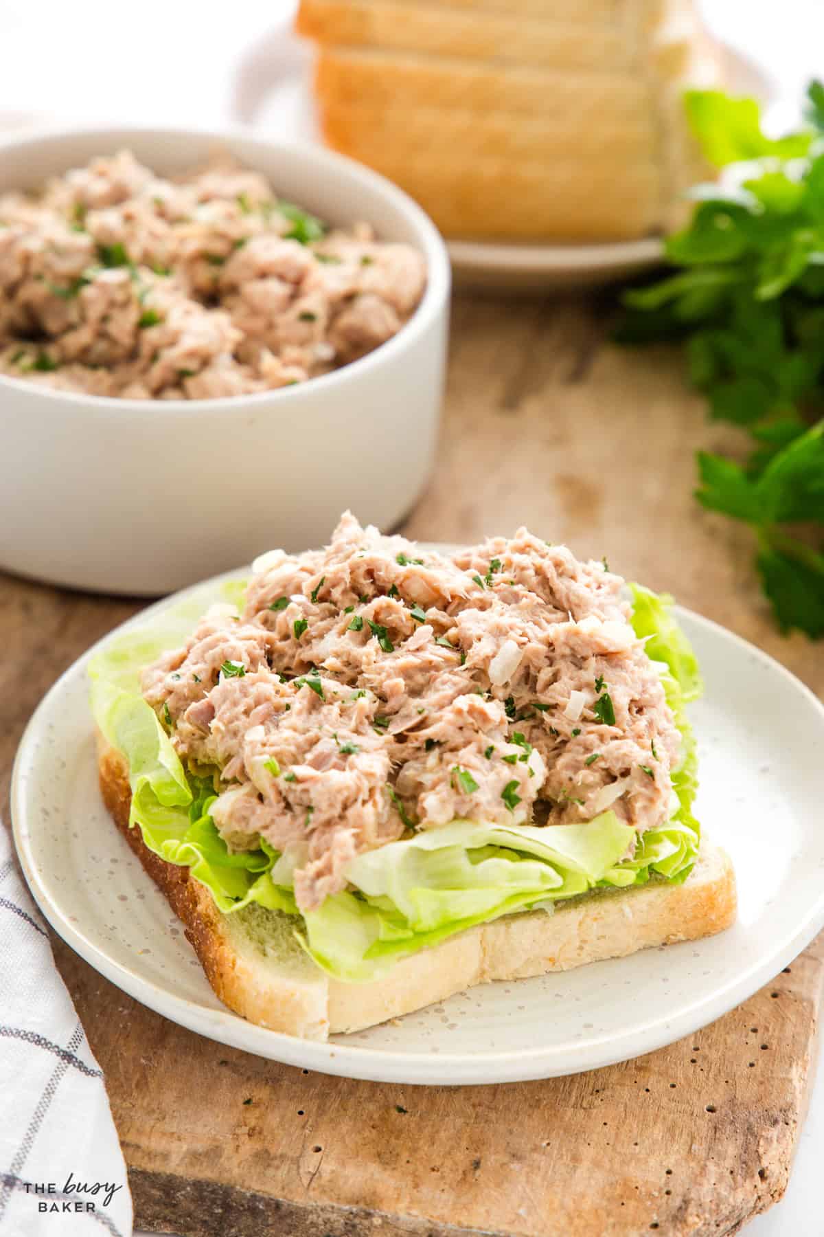 tuna salad on bread with lettuce