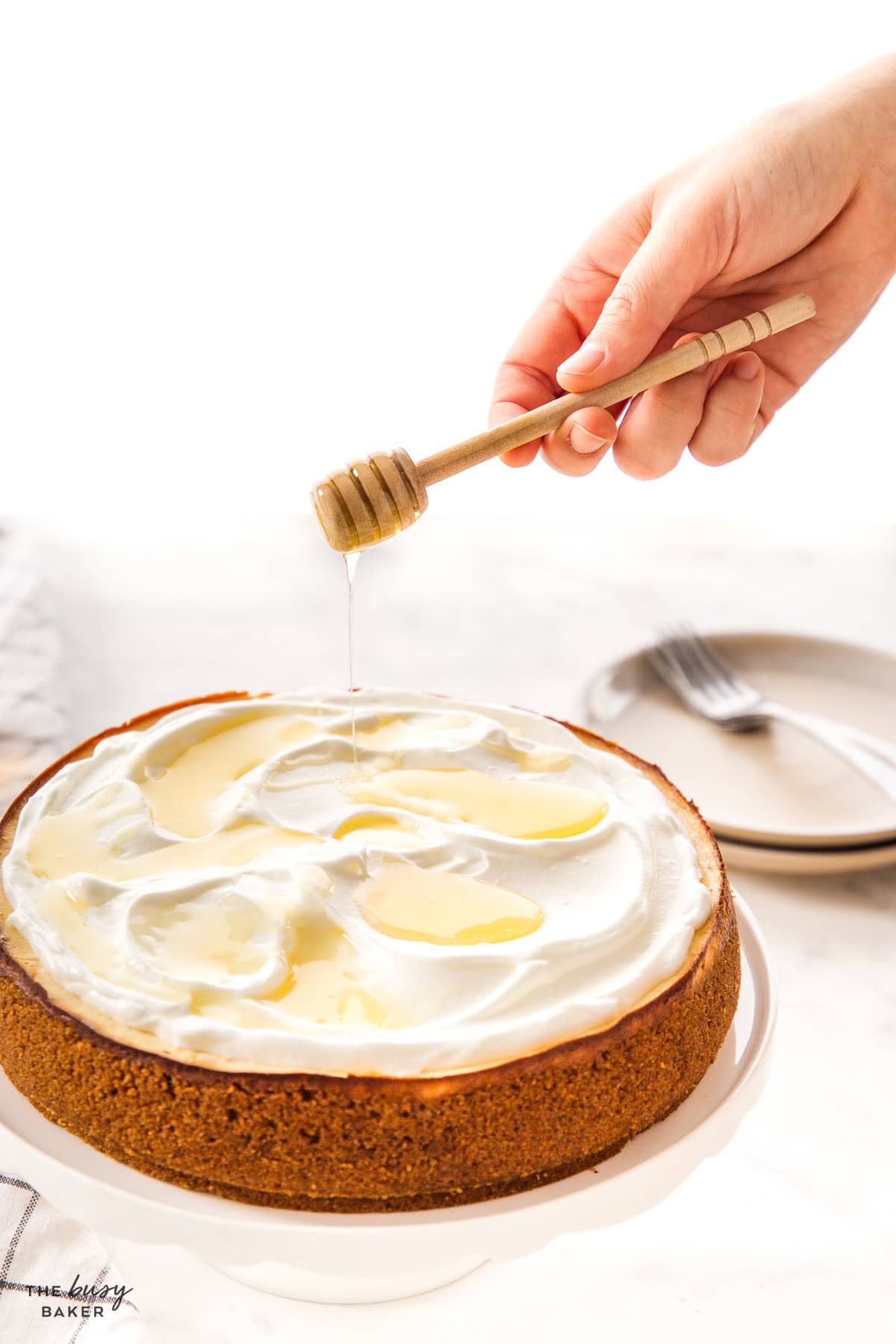 Healthy Greek yogurt cheesecake topped with whipped cream, honey, and walnuts on a white cake stand