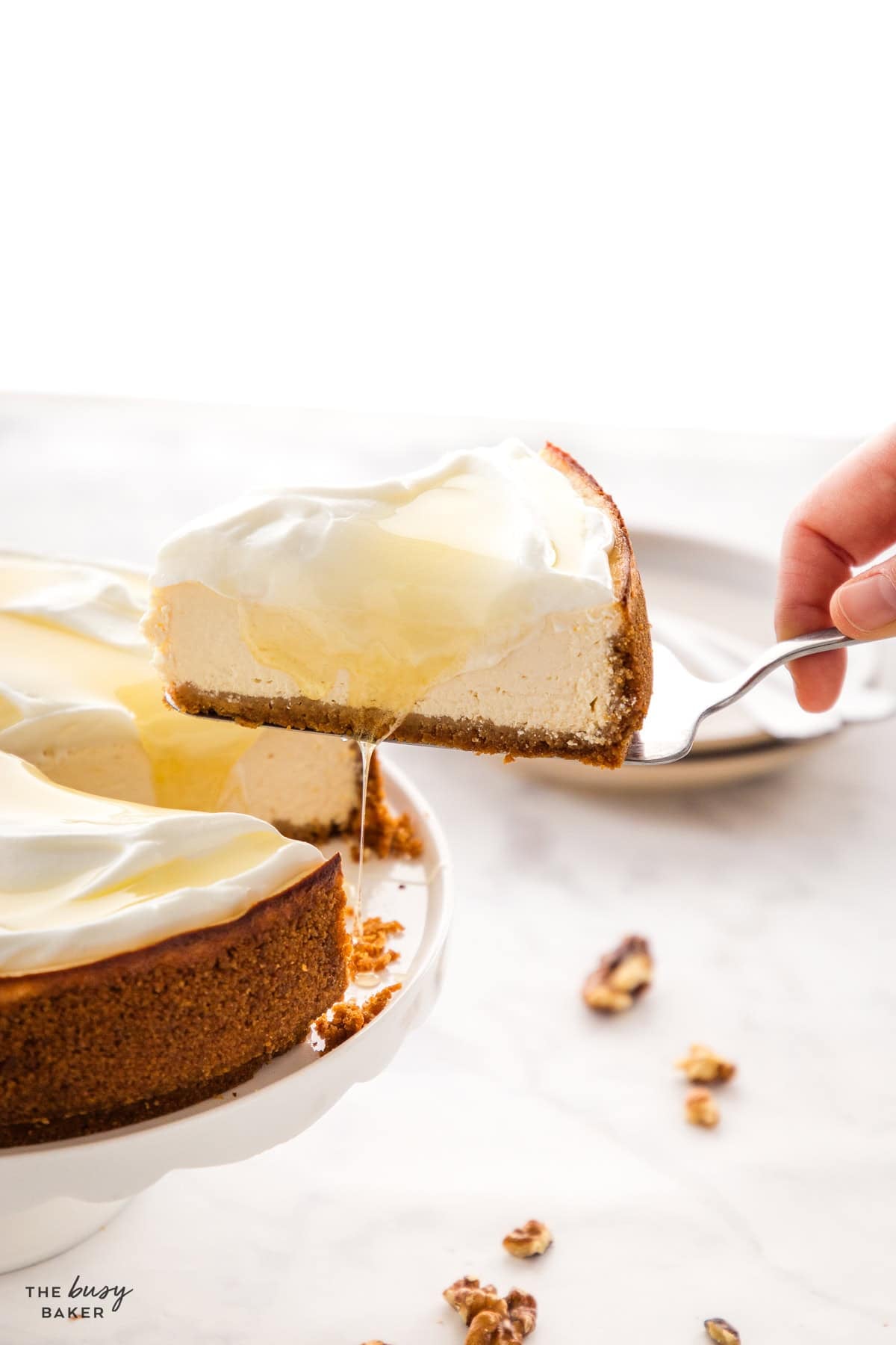 Slice of healthy Greek yogurt cheesecake with honey drizzle and chopped walnuts