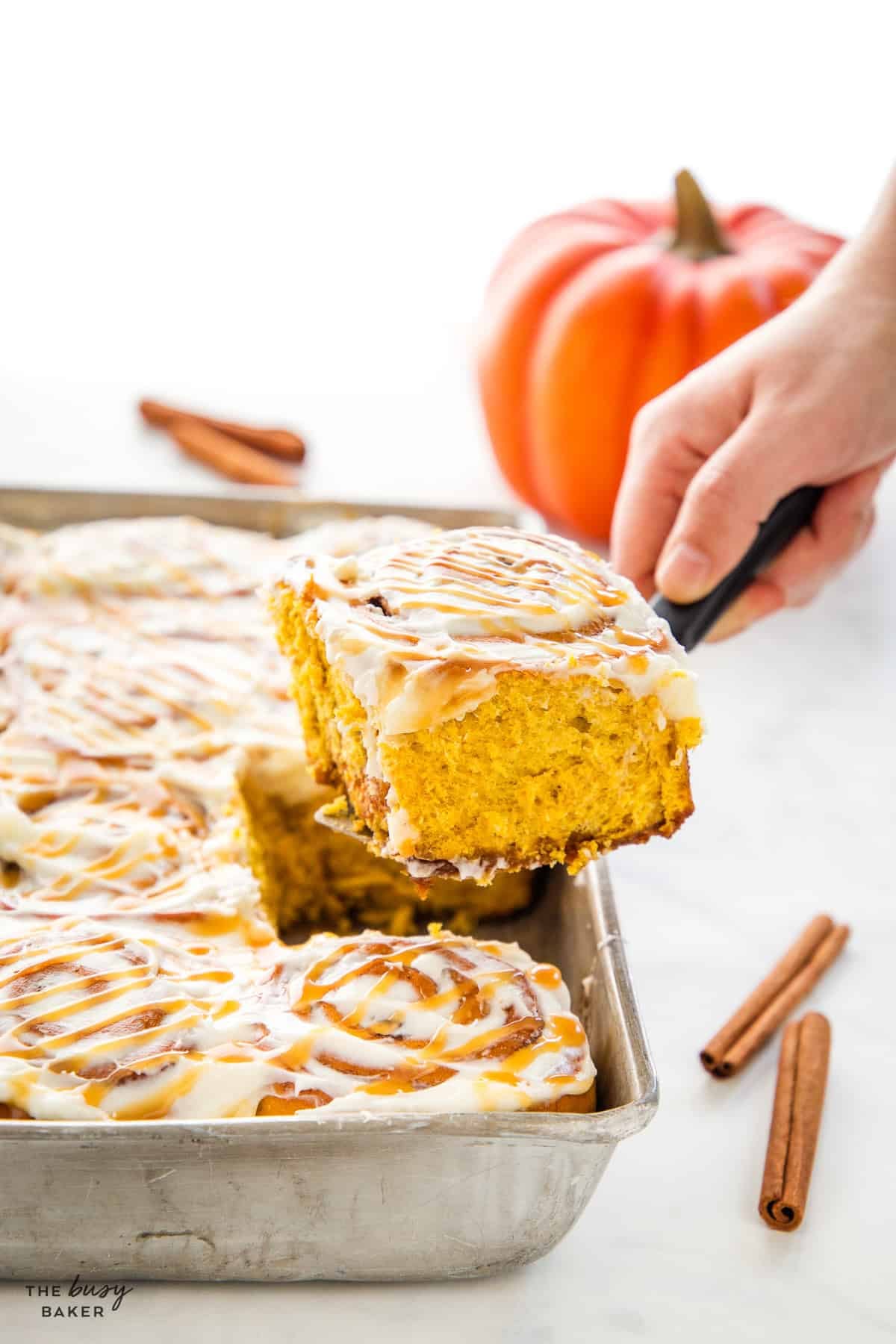 Hand serving one pumpkin spice cinnamon roll from a baking pan